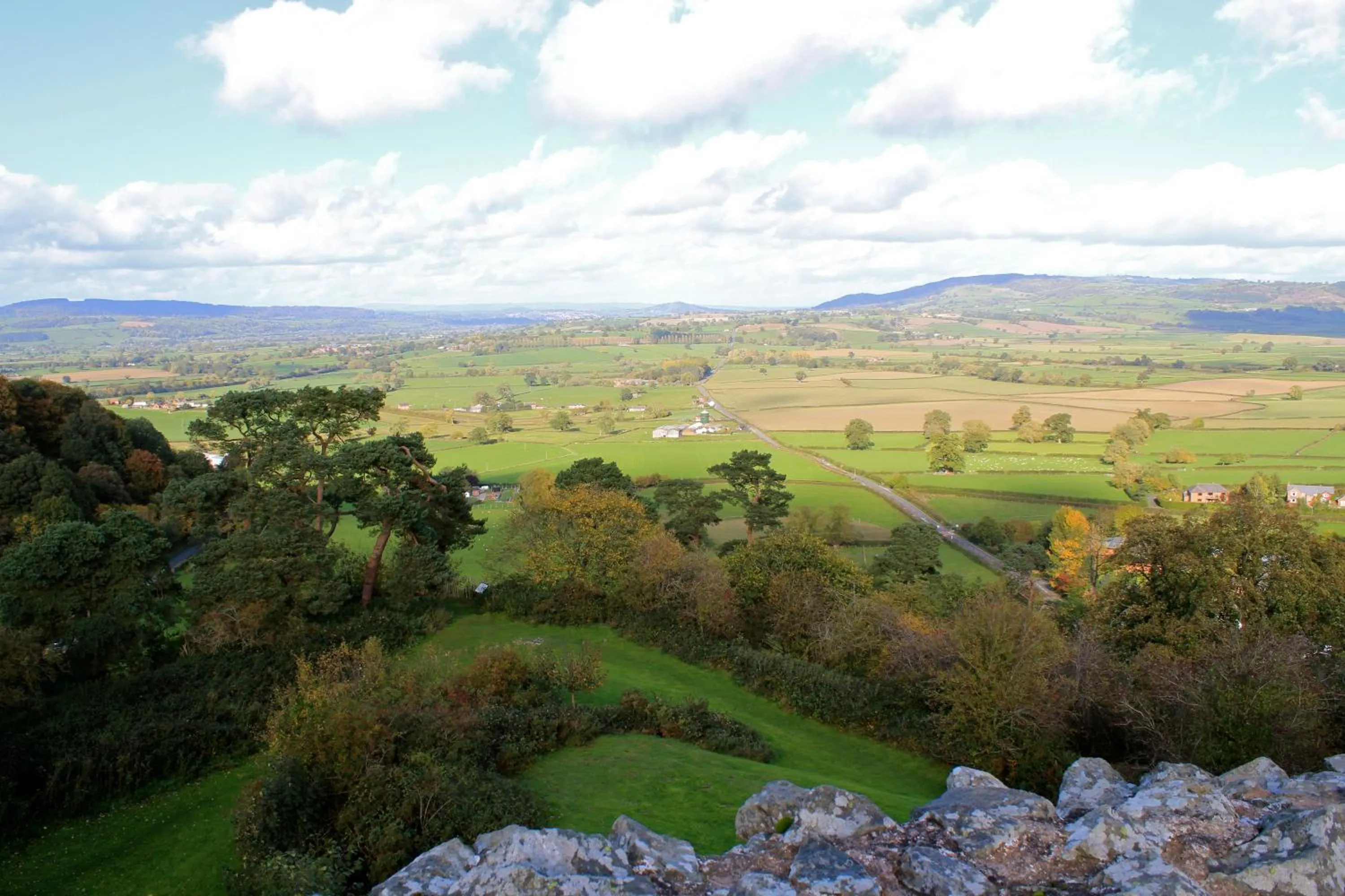 Area and facilities in The Dragon Hotel