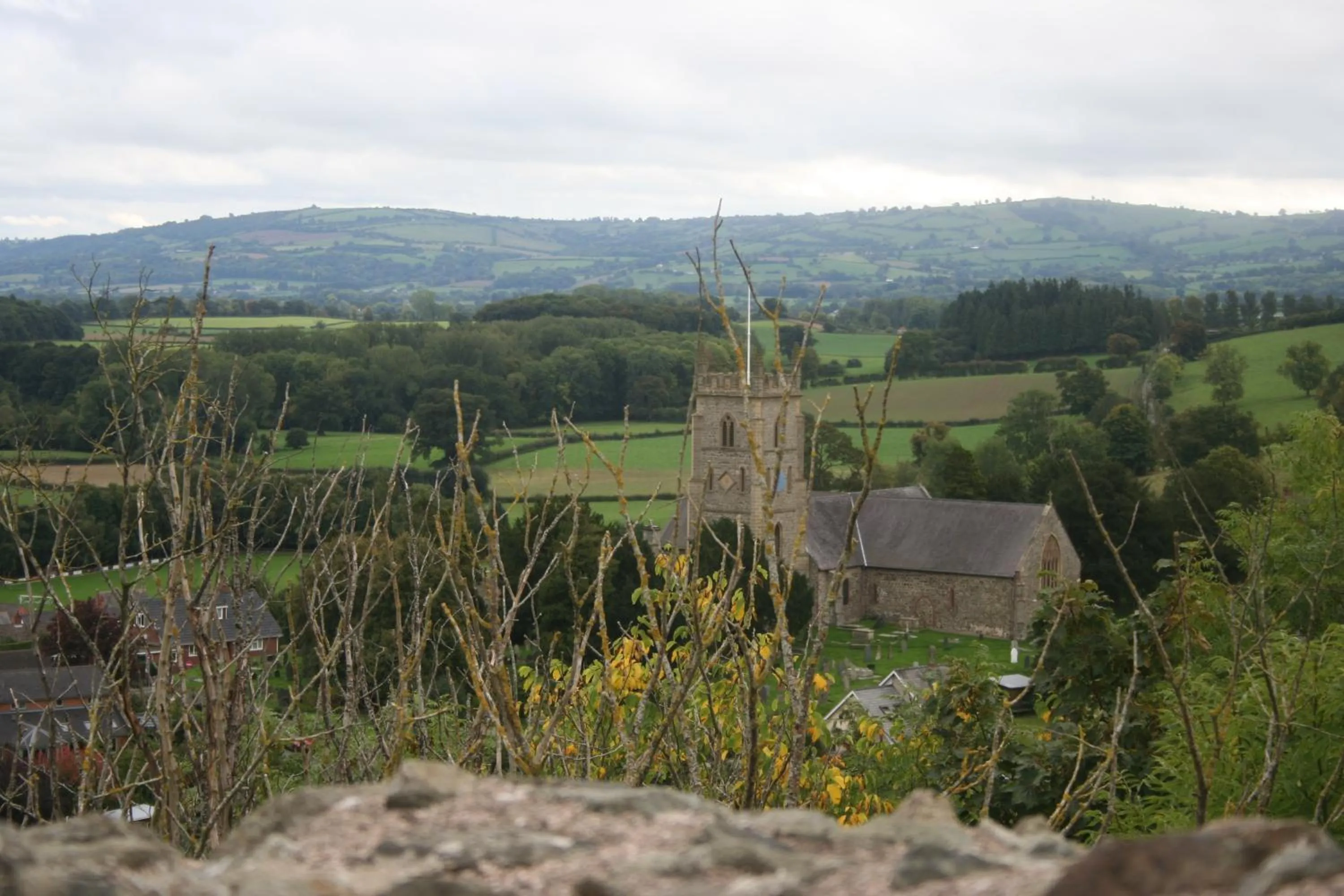 Area and facilities in The Dragon Hotel
