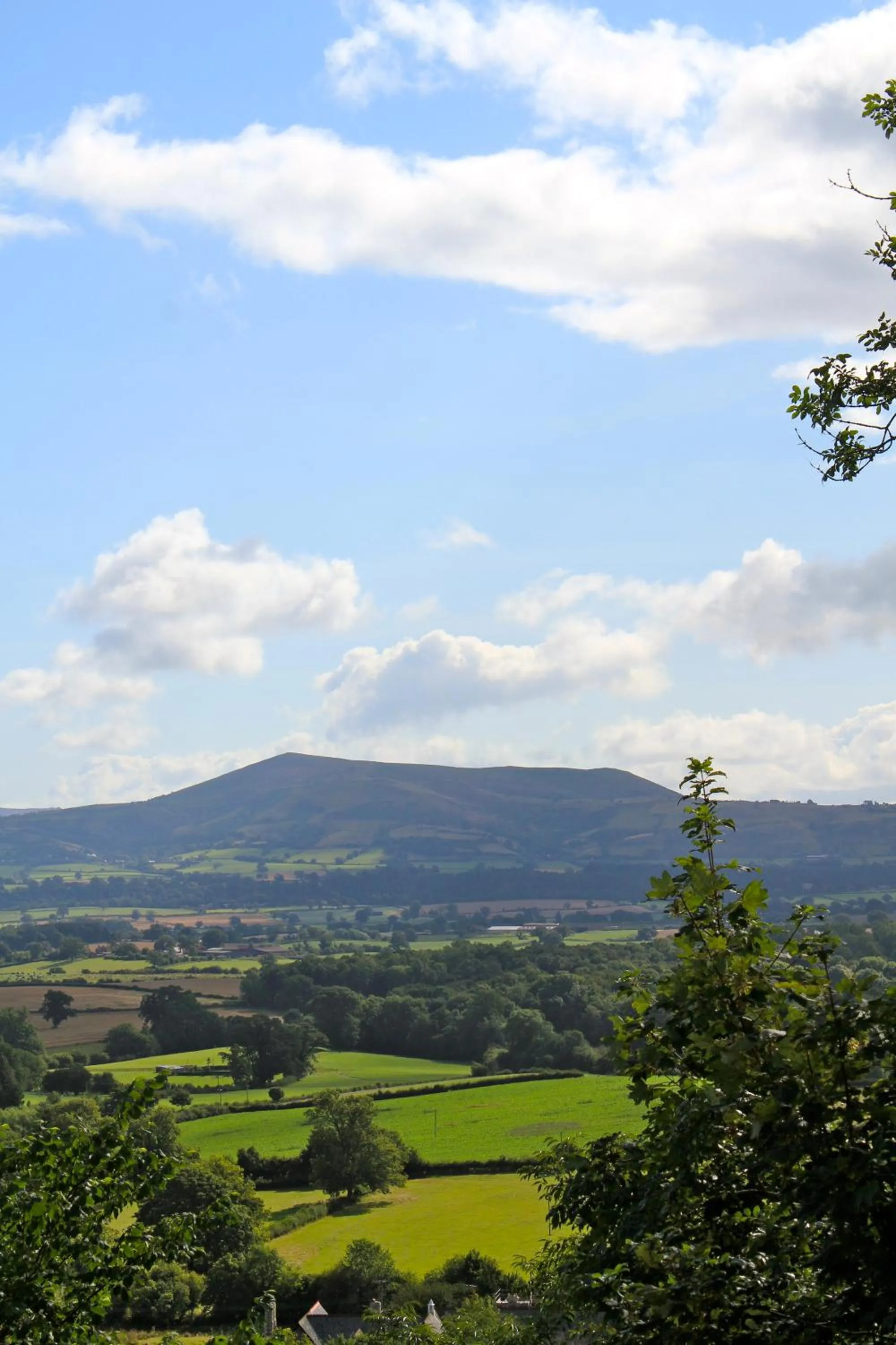 Area and facilities in The Dragon Hotel