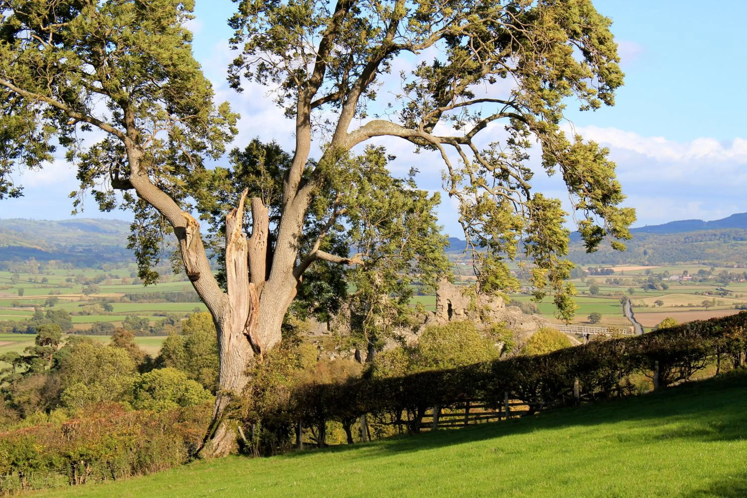 Area and facilities in The Dragon Hotel