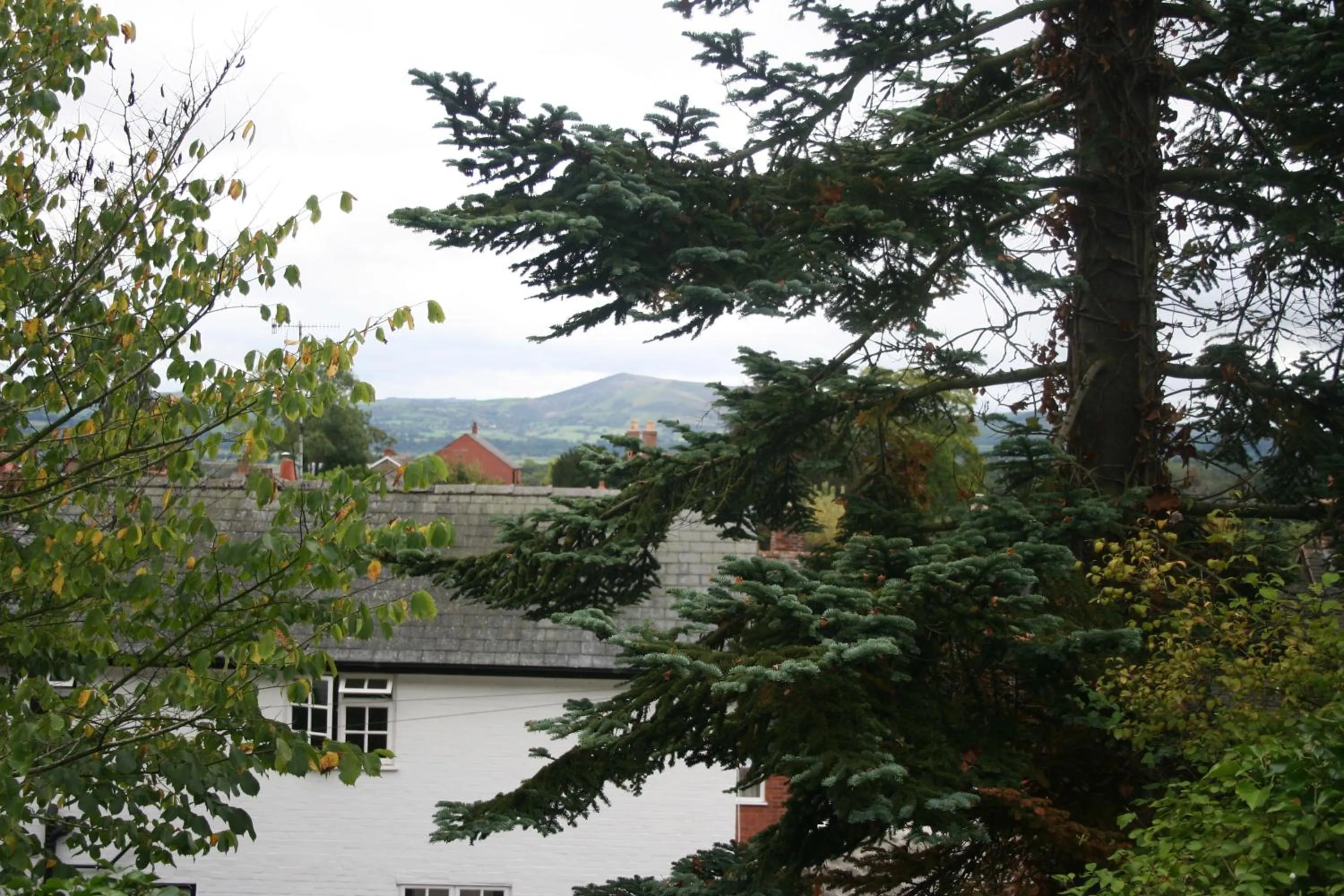View (from property/room) in The Dragon Hotel