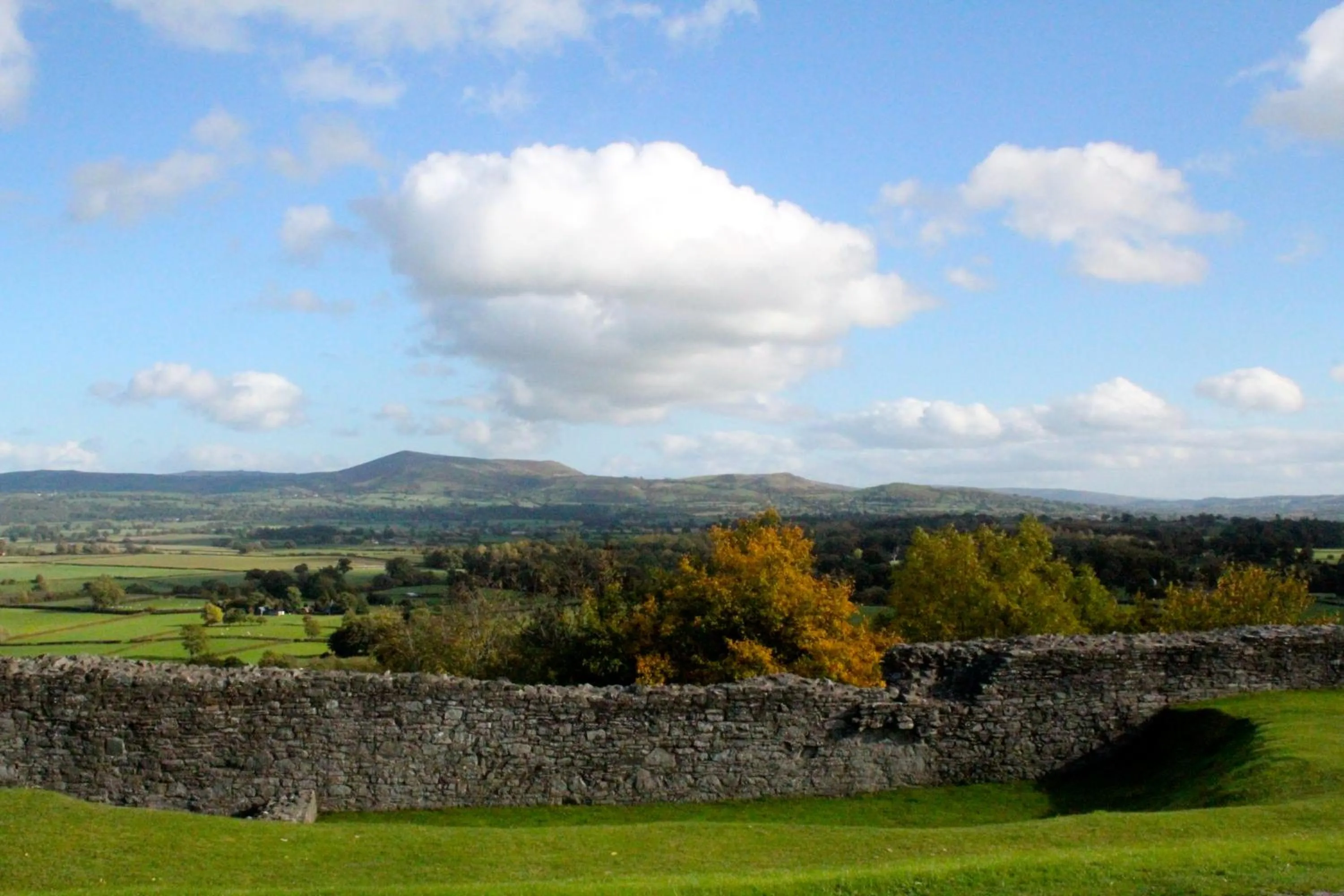 Area and facilities in The Dragon Hotel