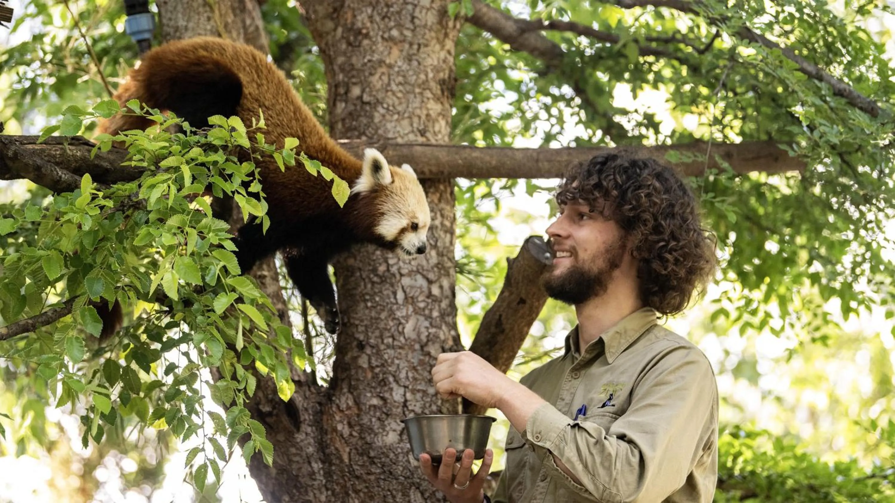 Nearby landmark in InterContinental Adelaide by IHG