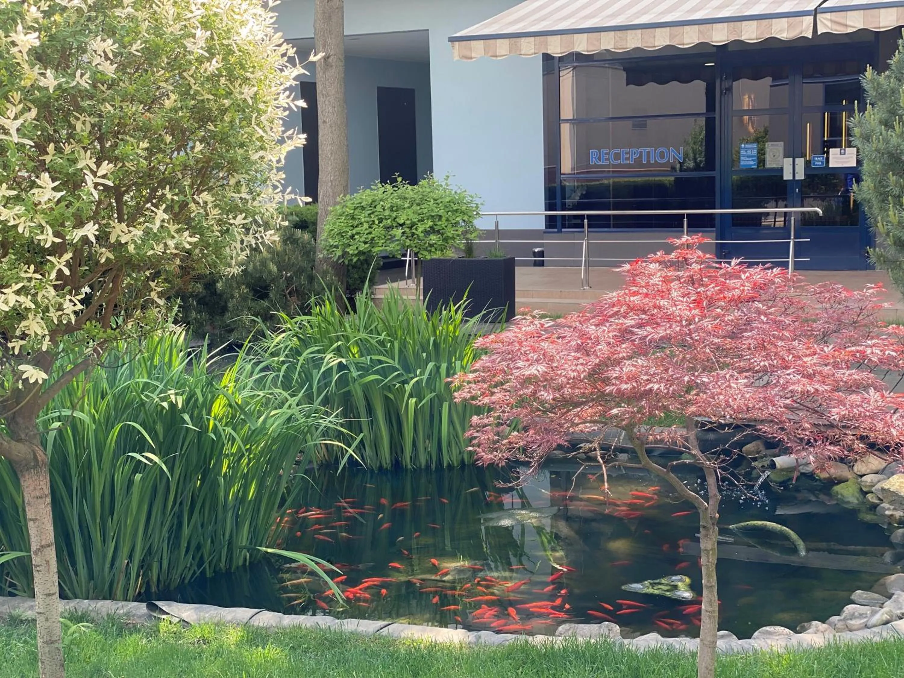 Lake view in Reghina Blue Hotel