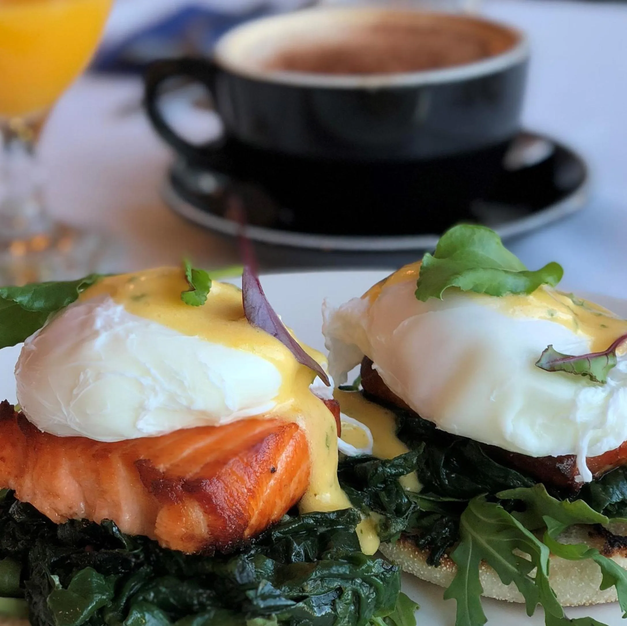 Food close-up in Edit Picton