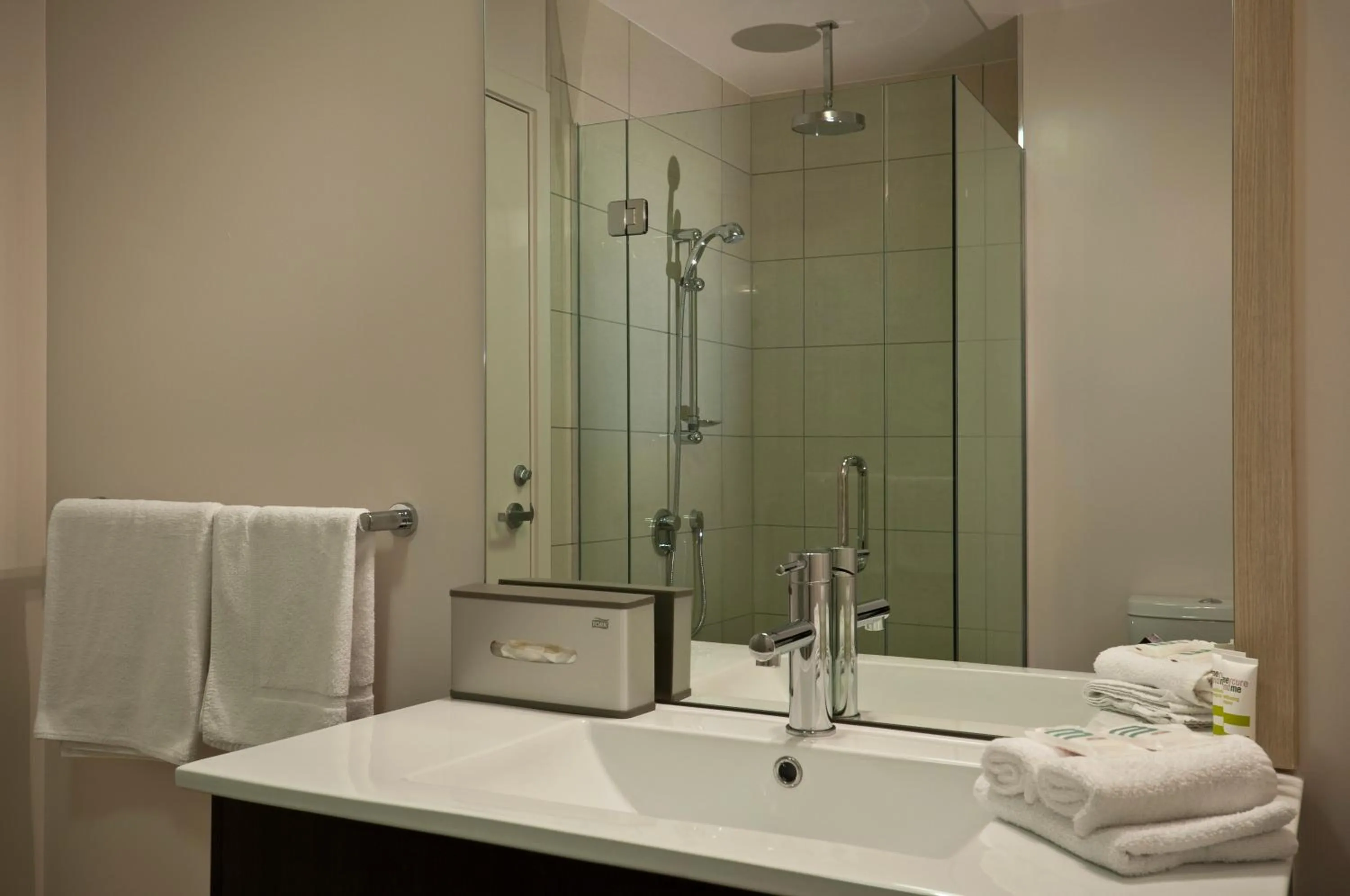 Toilet in Edit Picton