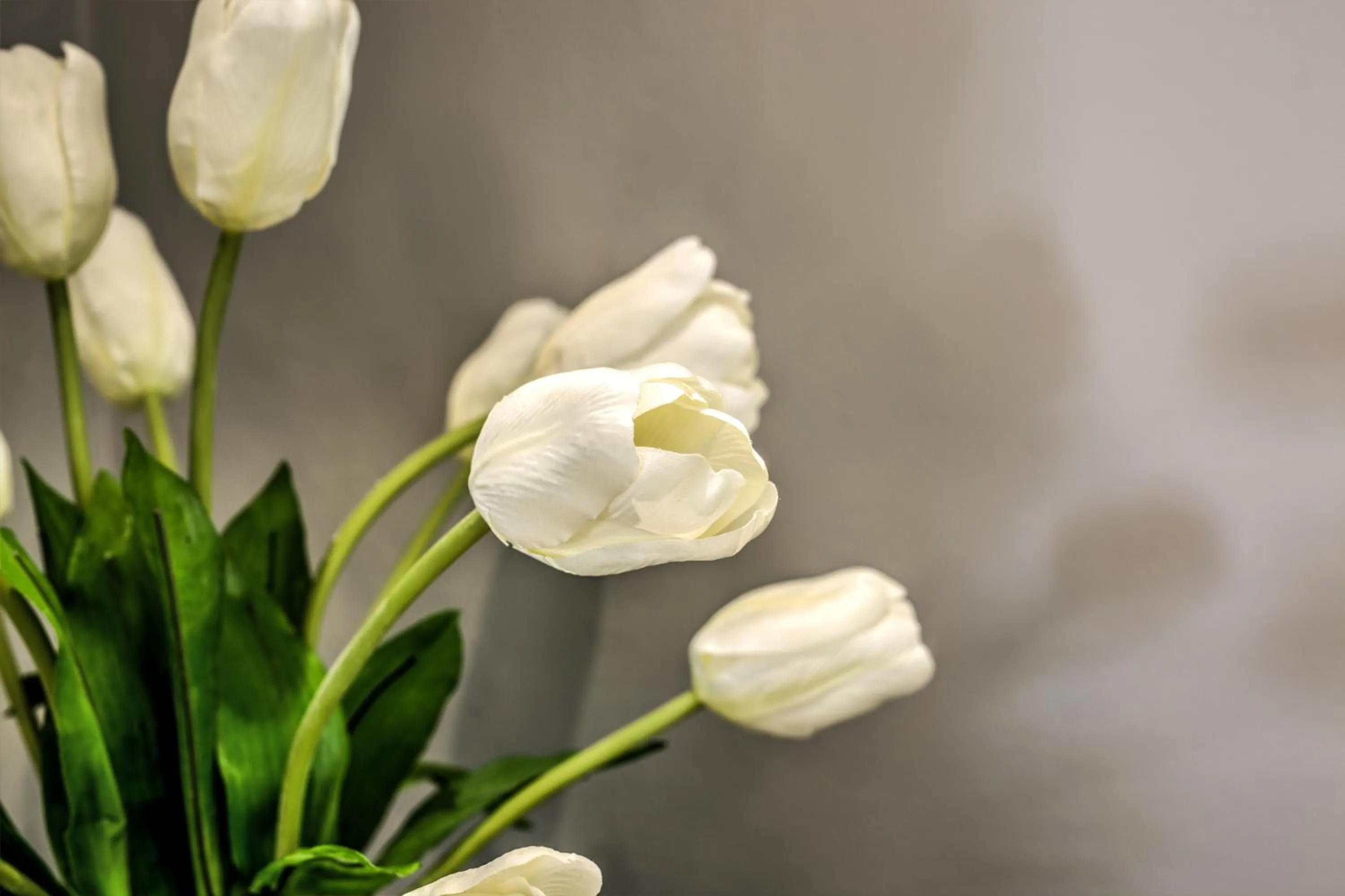 Other in Town Lodge Waterfall, Midrand