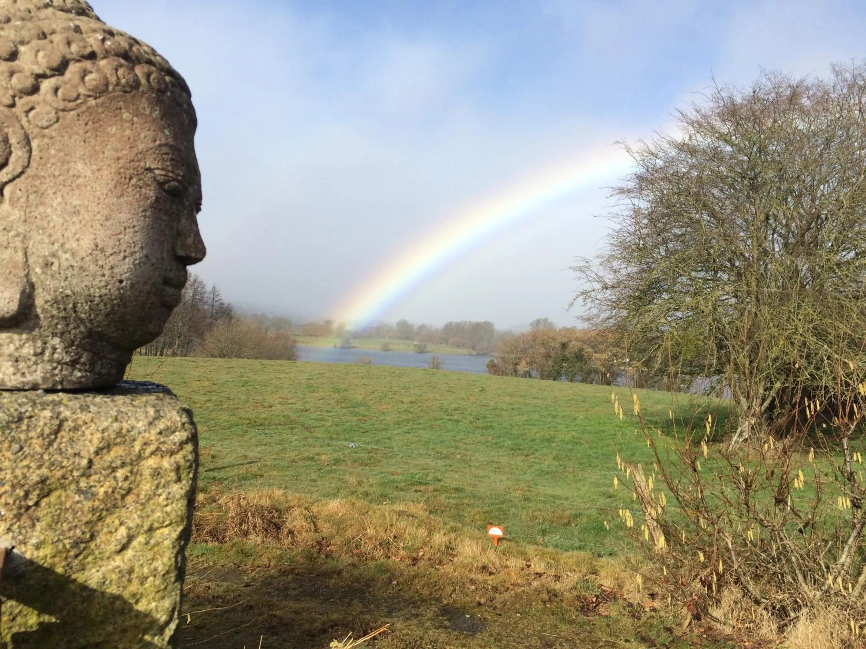 Natural landscape in Le bouddha du lac