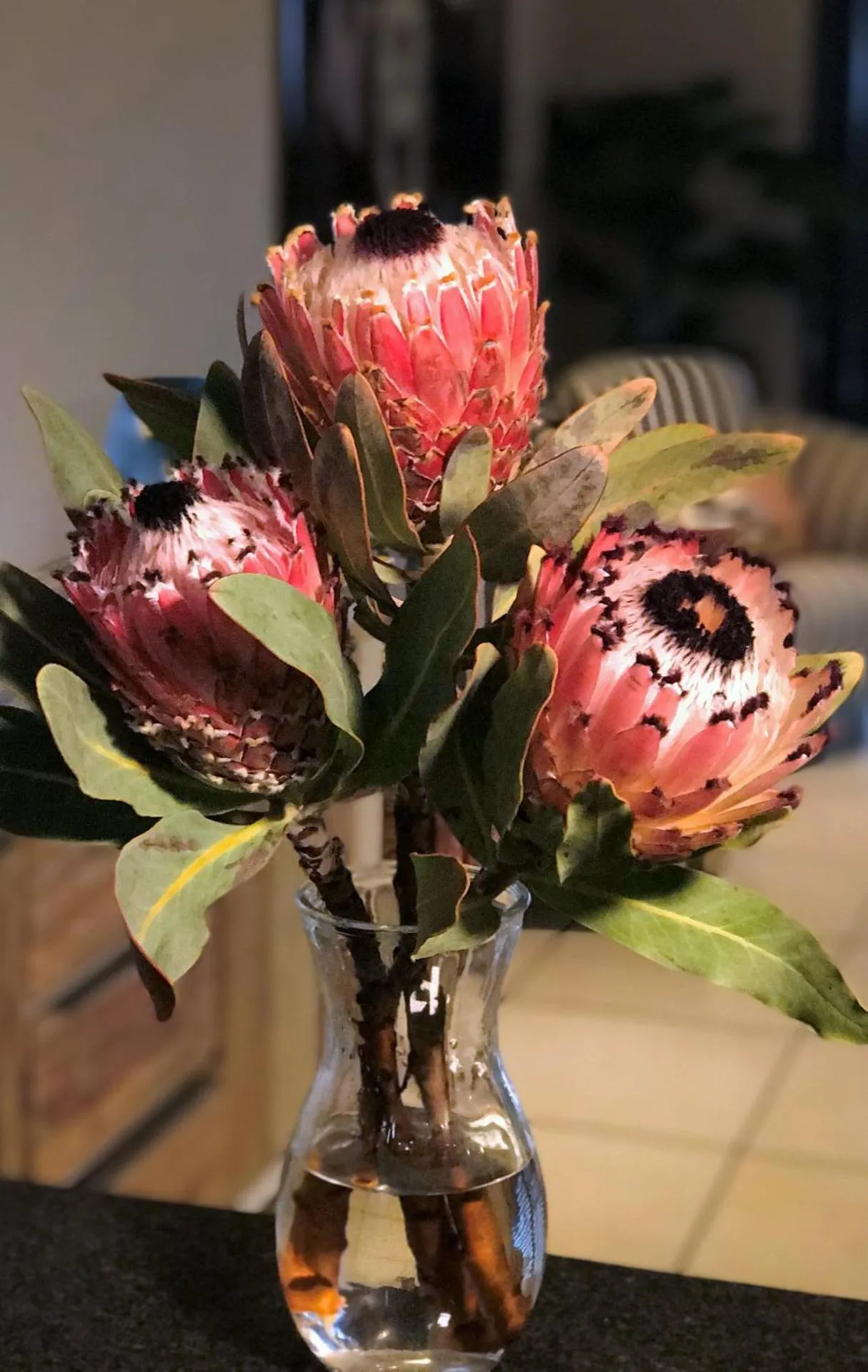 Decorative detail in Lavender Moon Guest House