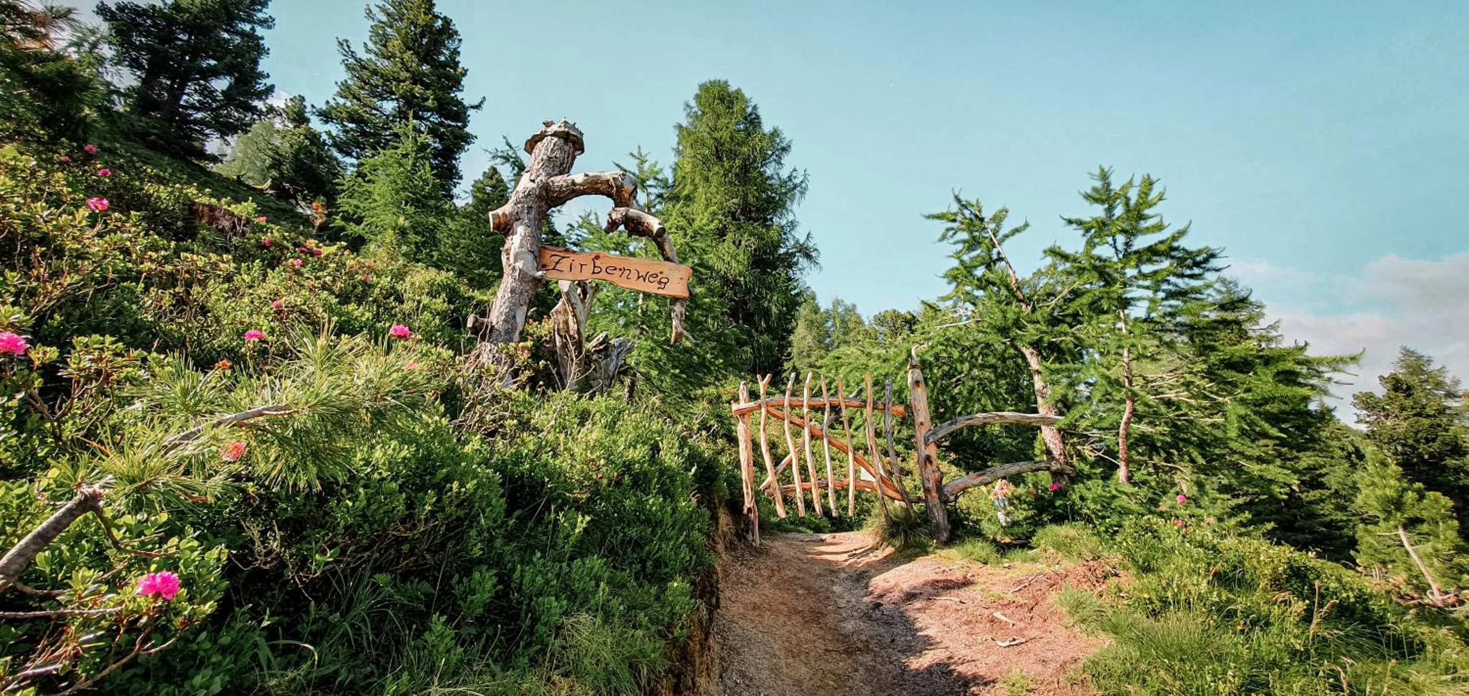 Hiking in Hotel Das Gastein - ganzjährig inklusive Alpentherme Gastein & Sommersaison inklusive Gasteiner Bergbahnen