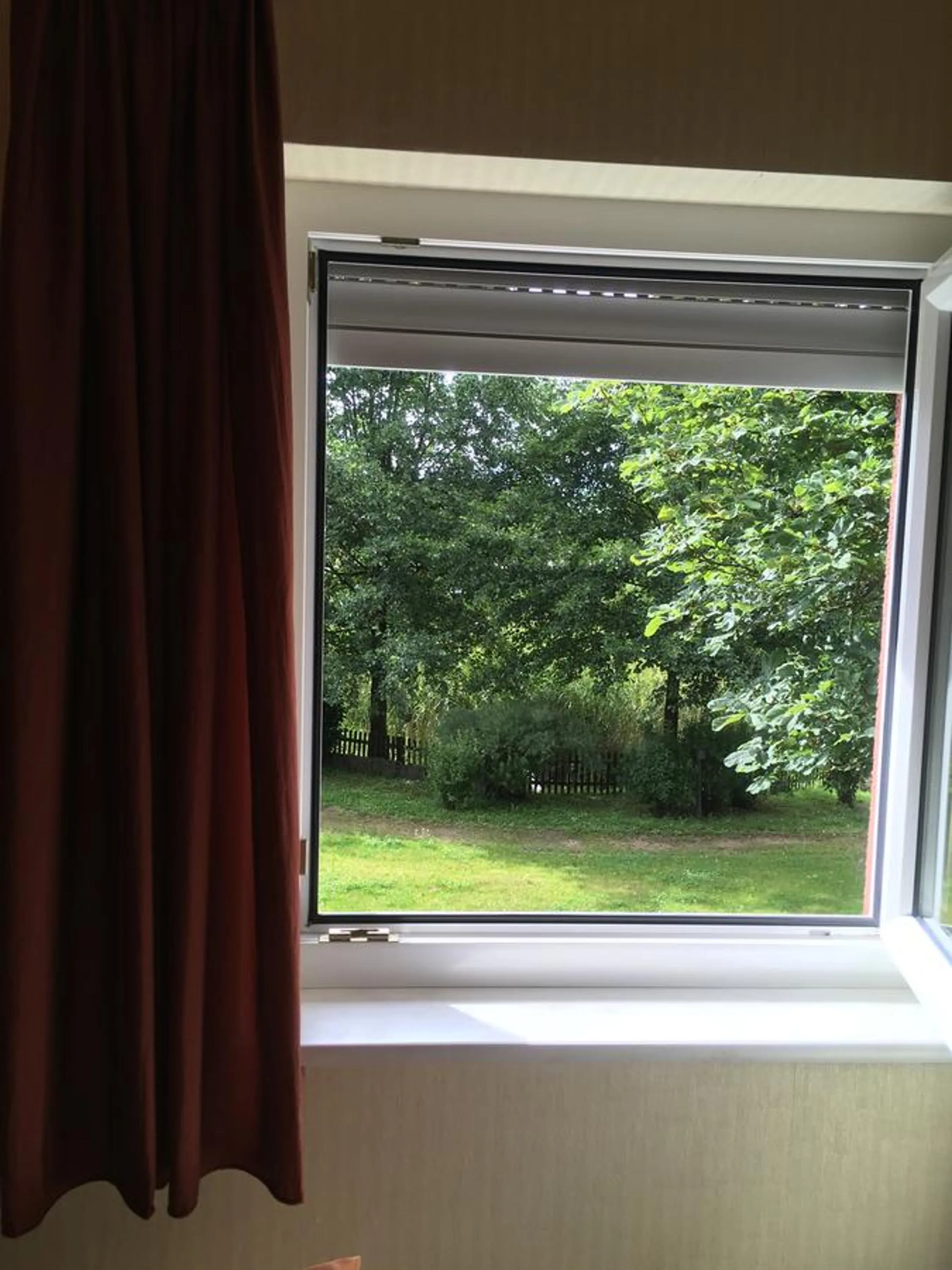 View (from property/room) in The Place After the Race B&B