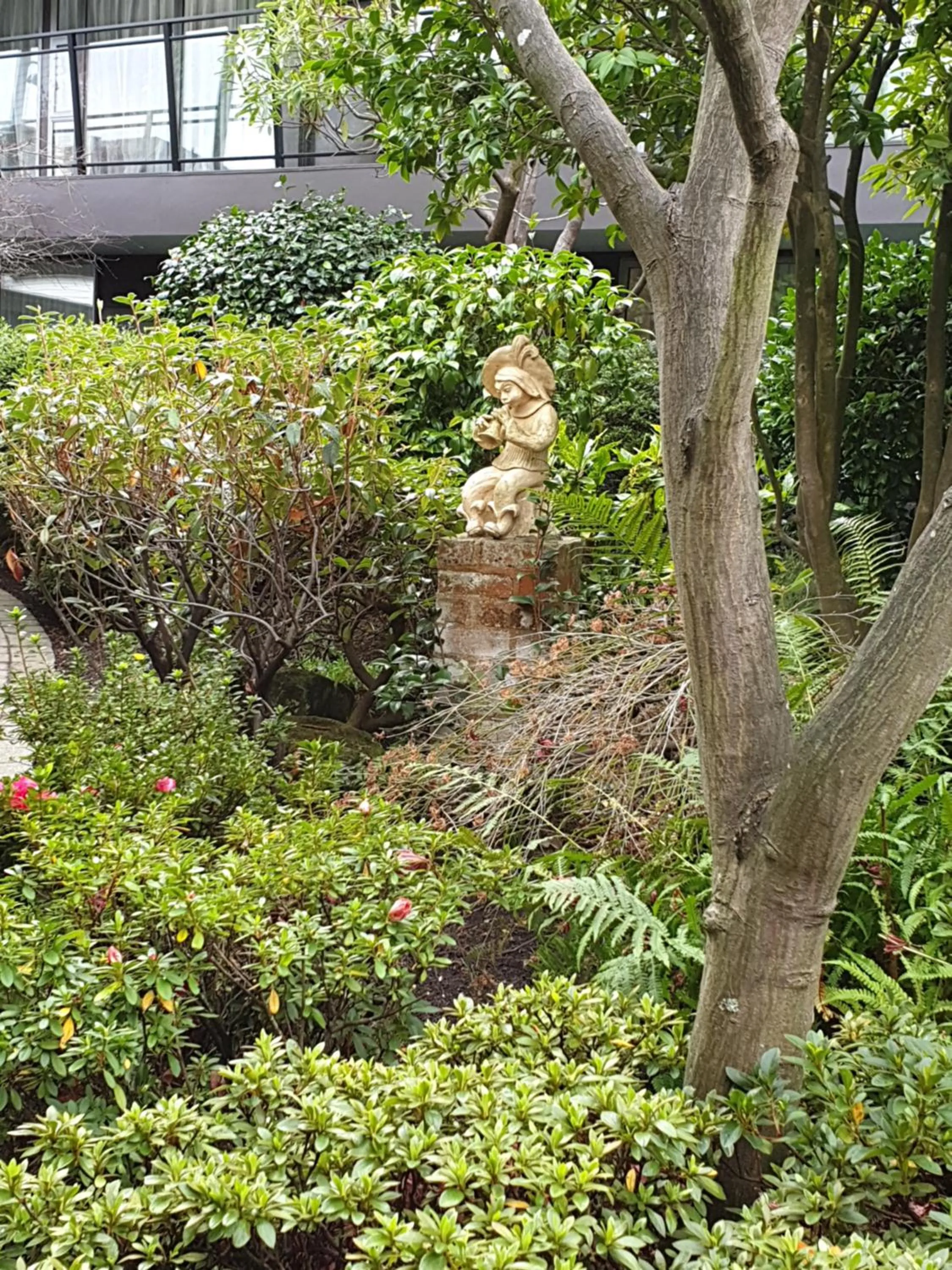 Garden view in Aurora on George