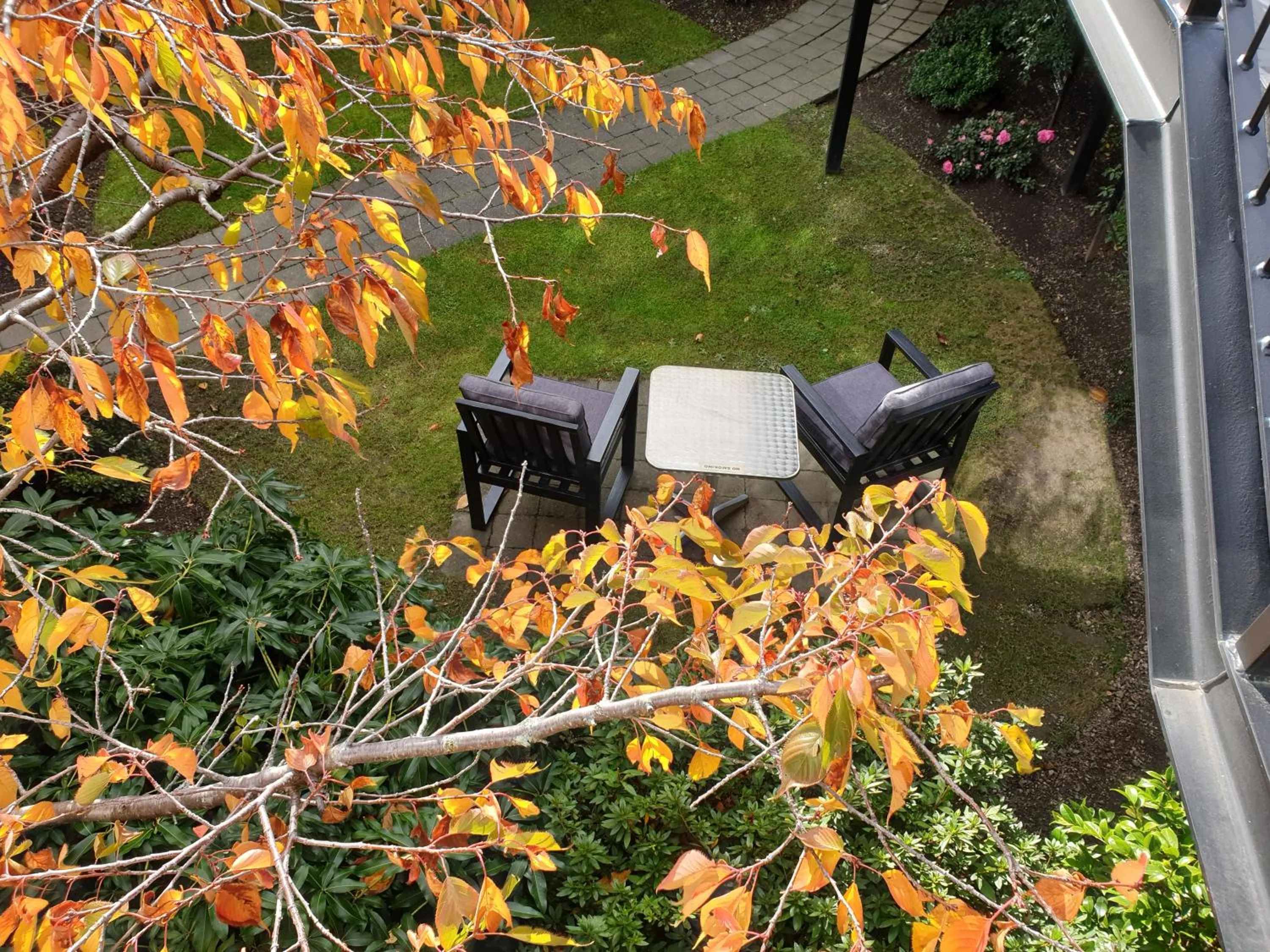 Garden in Aurora on George