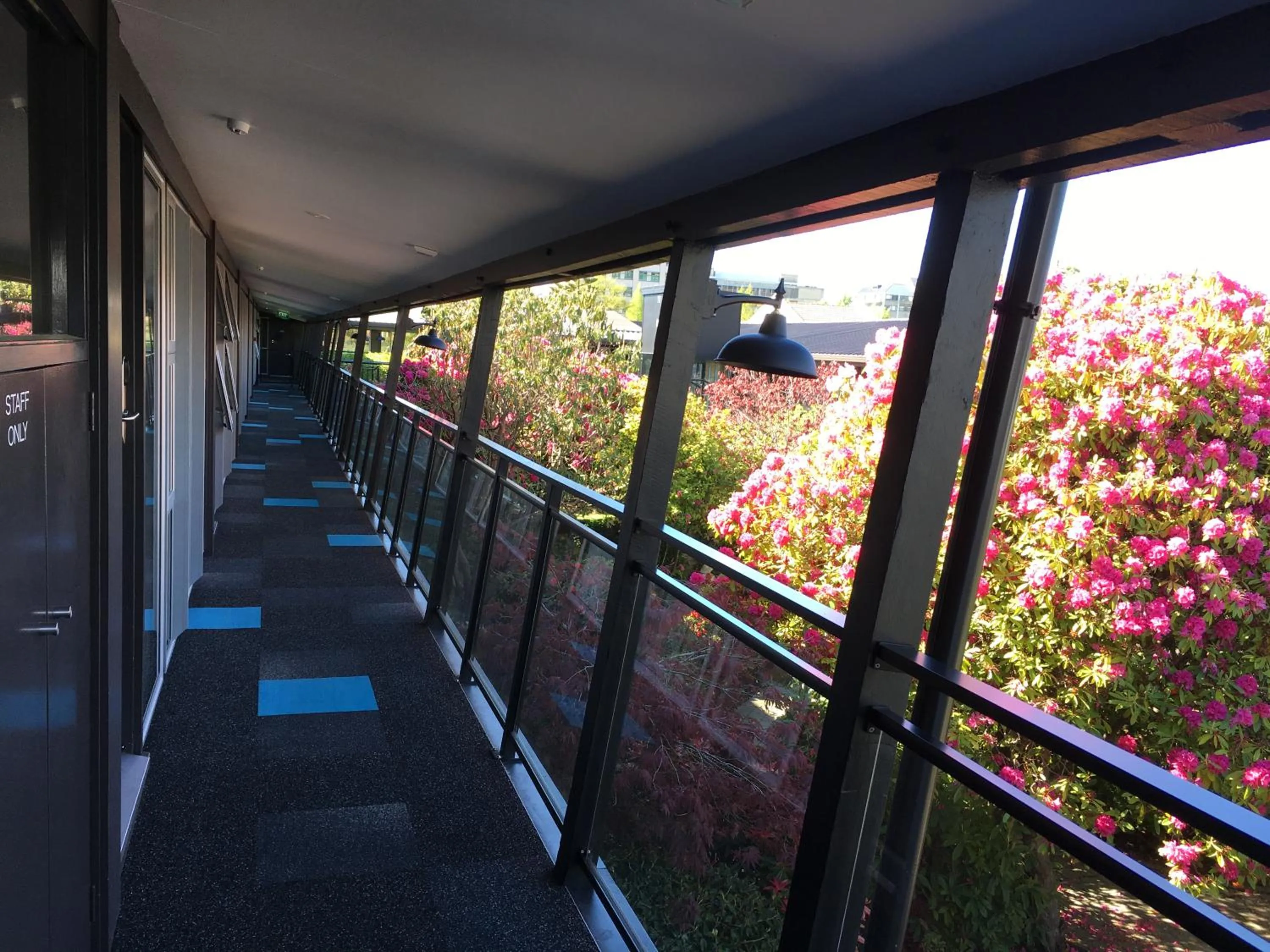 Property building in Aurora on George