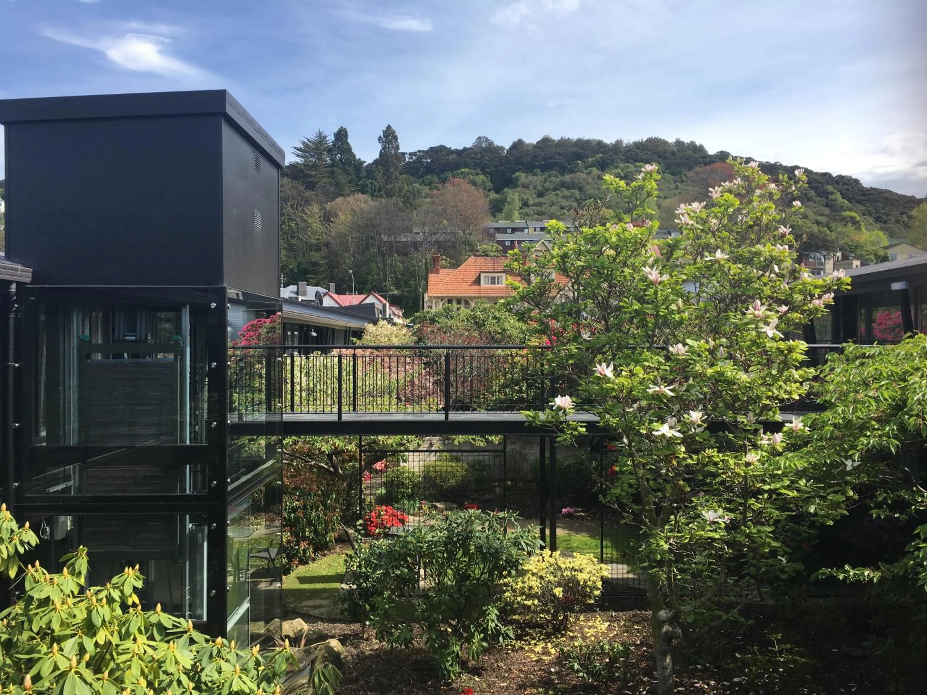 Property building in Aurora on George