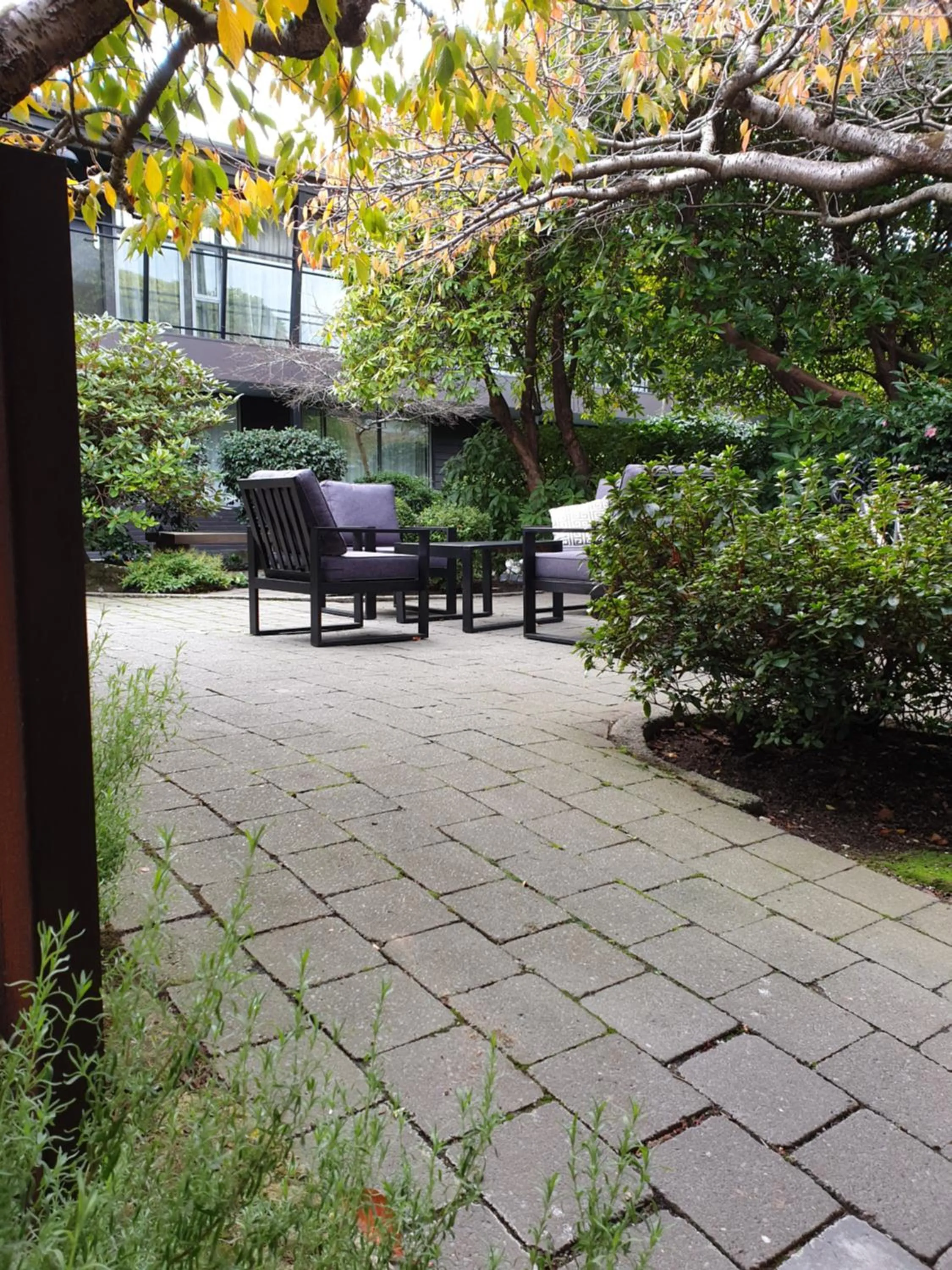 Patio in Aurora on George