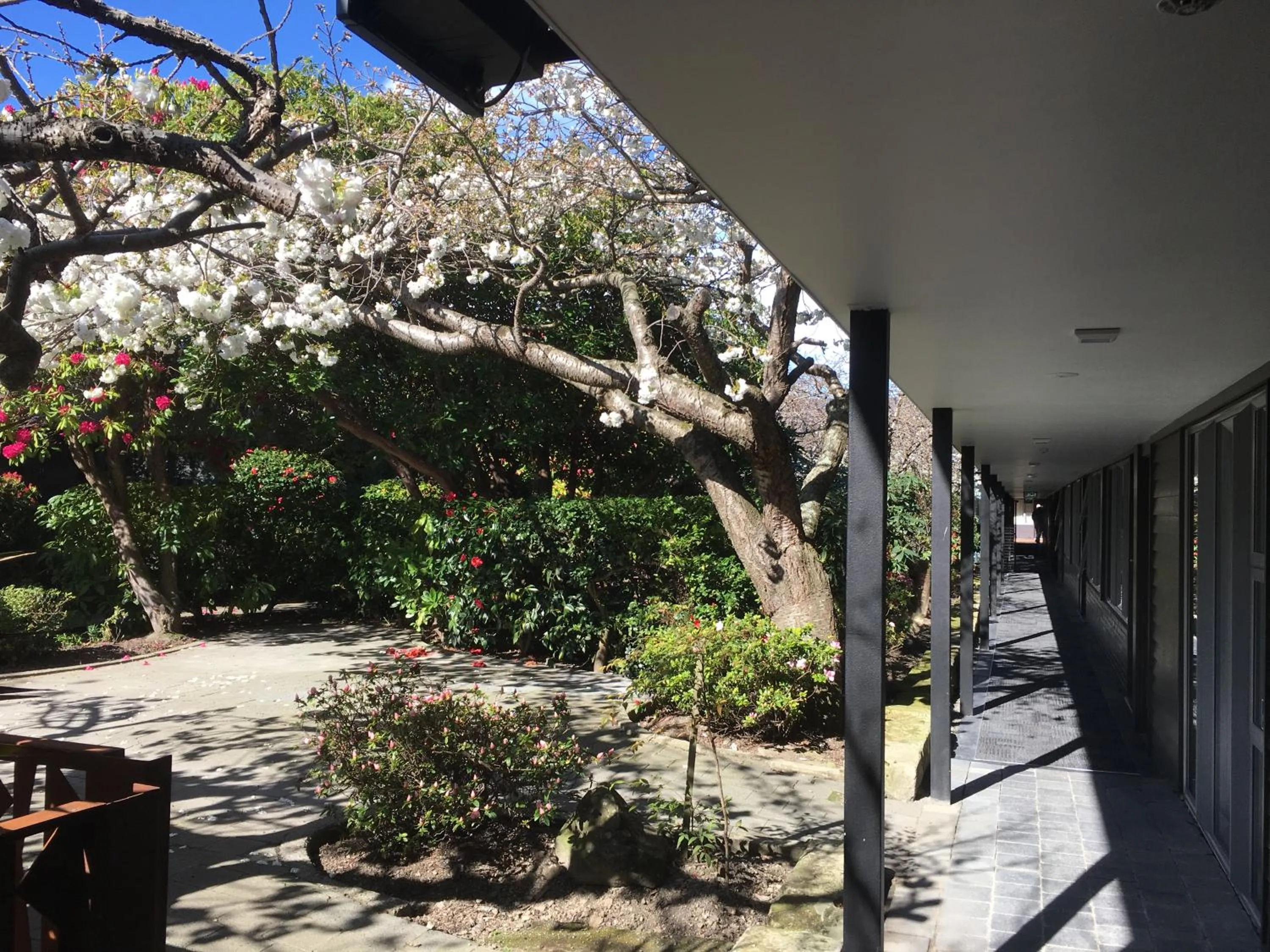 Property building in Aurora on George