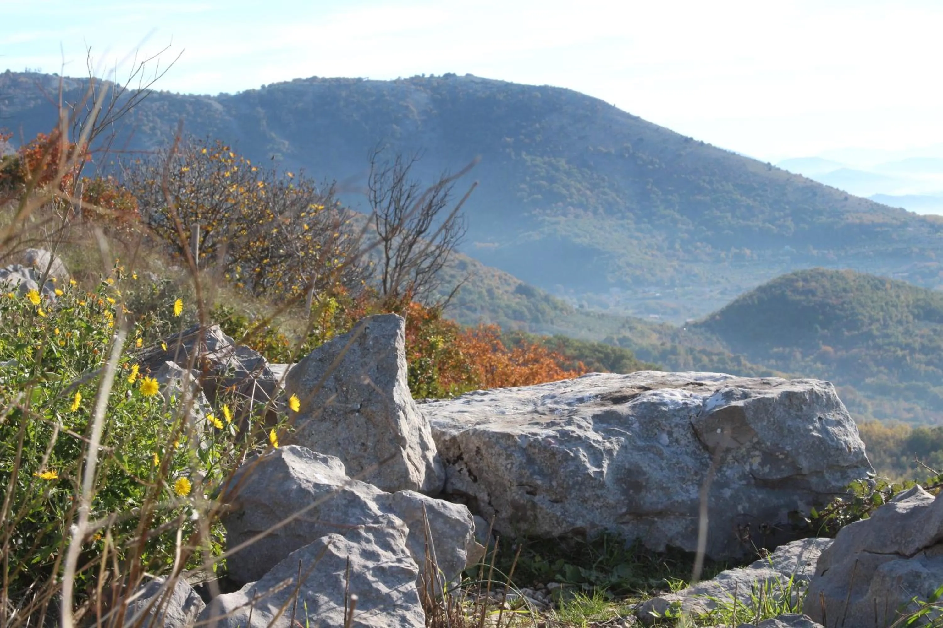 View (from property/room) in B&B I 4 Sentieri