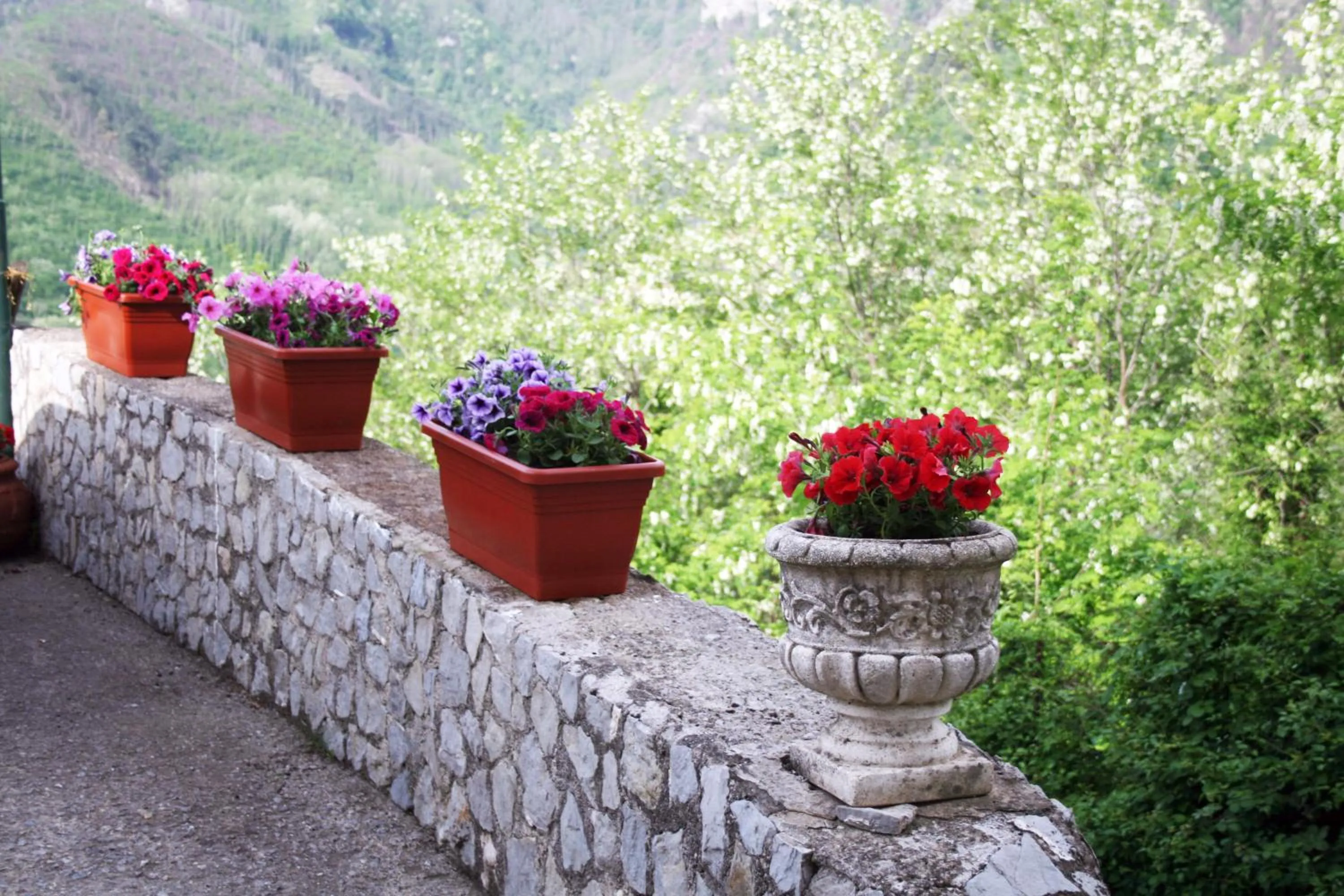 Garden view in Tra I Monti