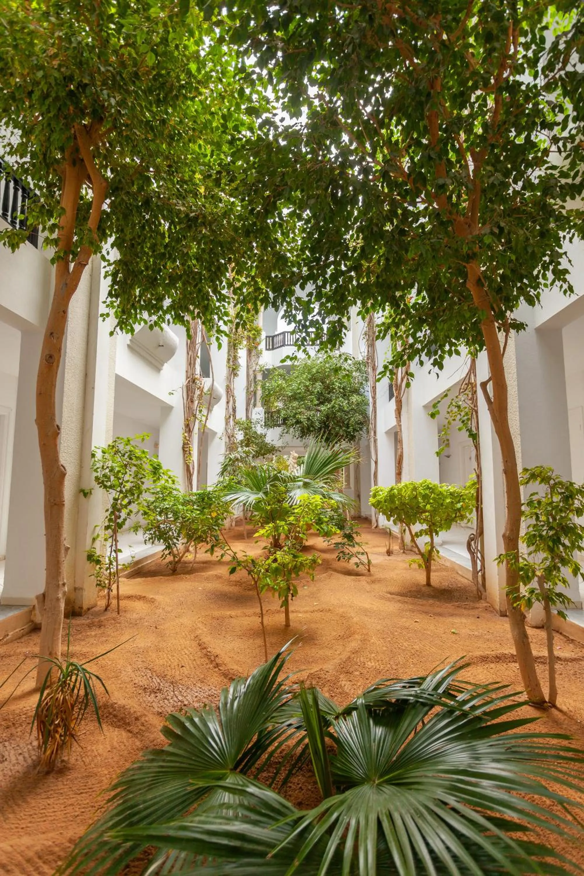 Garden in Djerba Holiday Beach