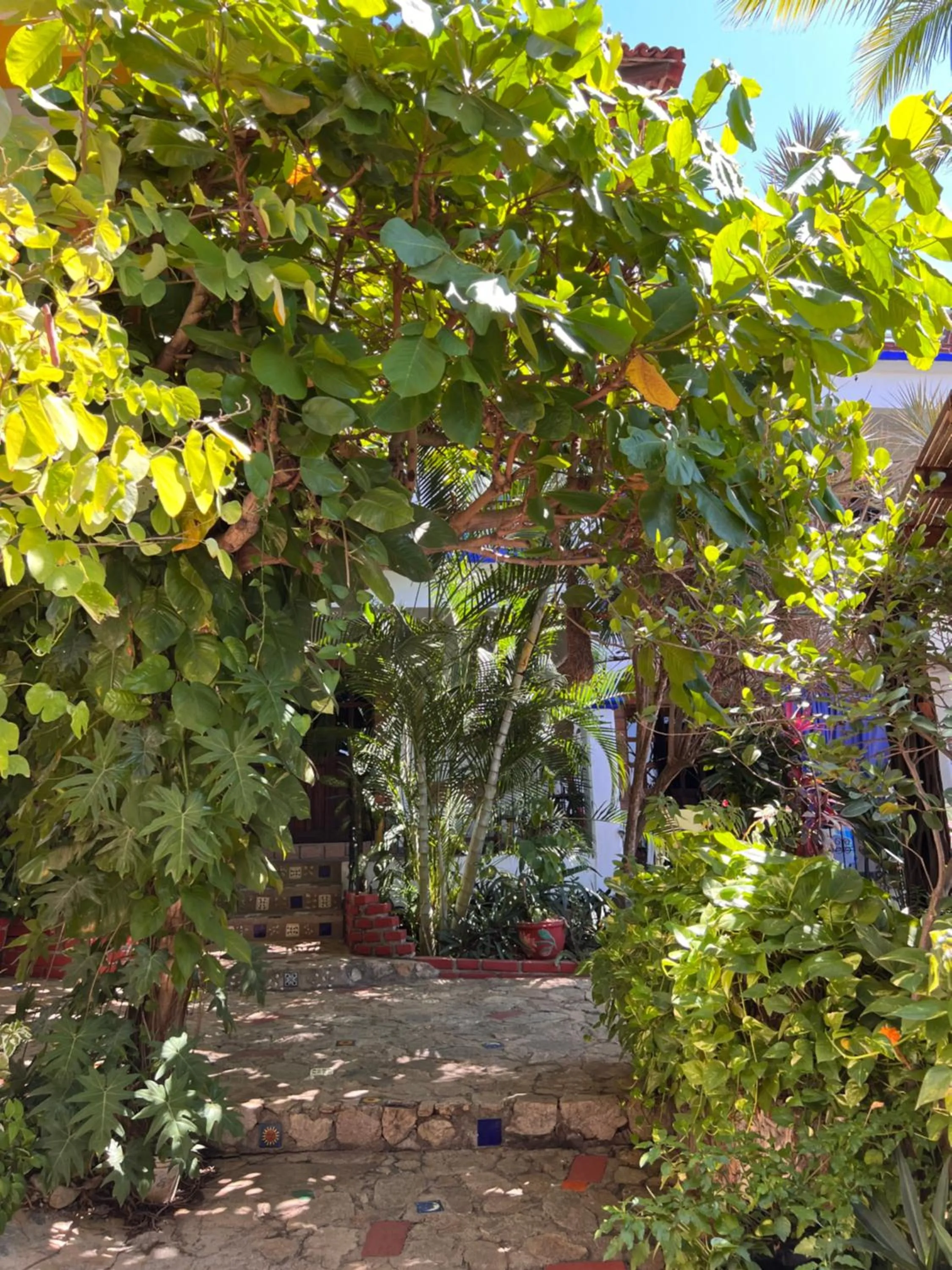 Property building in Casa Terranova