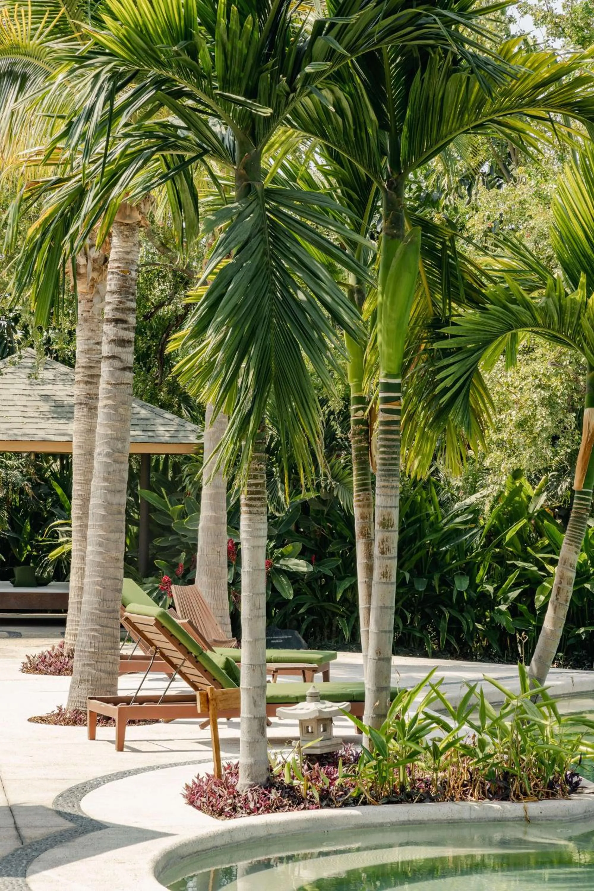 Pool view in Soul Spring Sanctuary Cuernavaca