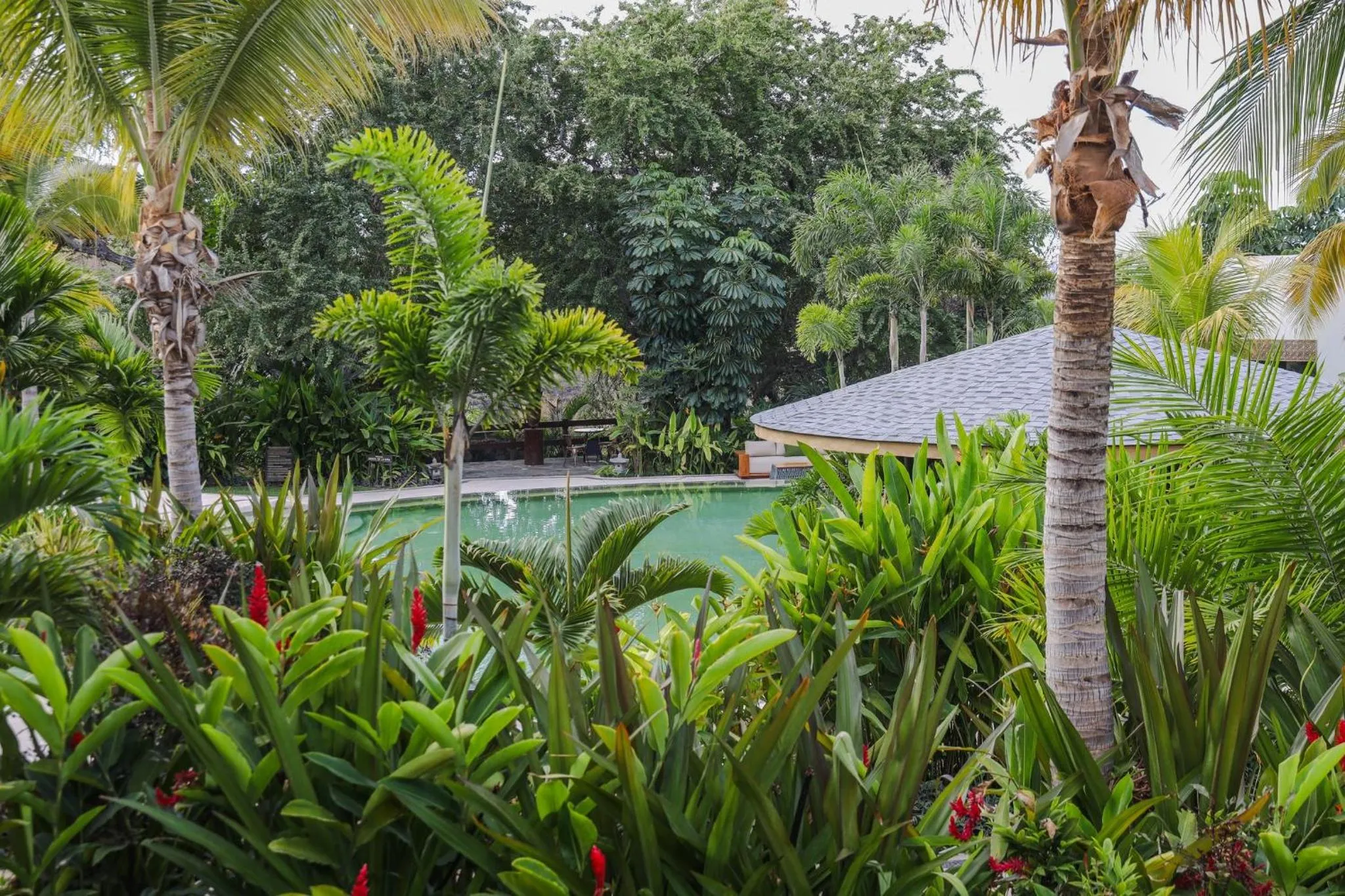Pool view in Soul Spring Sanctuary Cuernavaca