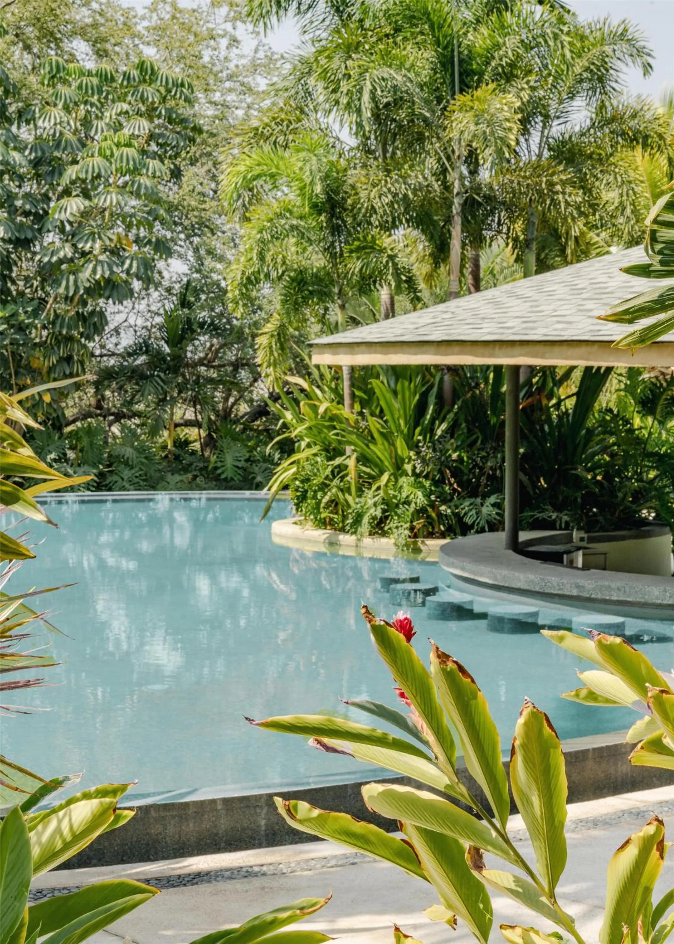 Pool view in Soul Spring Sanctuary Cuernavaca