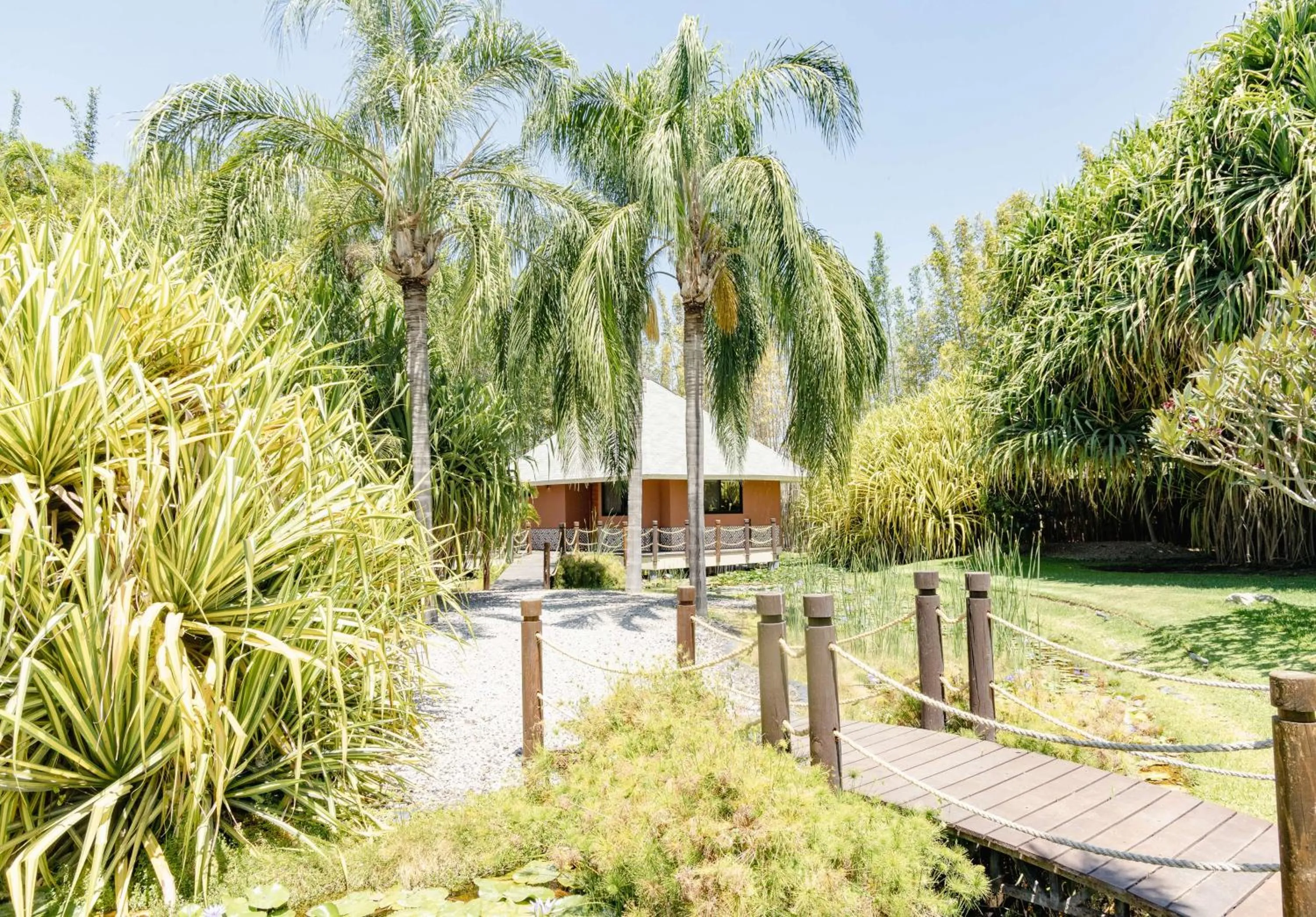 Photo of the whole room in Soul Spring Sanctuary Cuernavaca