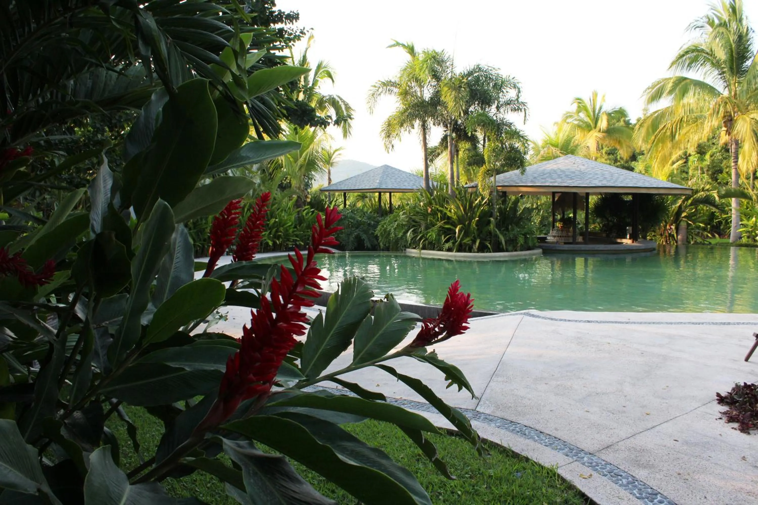 Soul Spring Sanctuary Cuernavaca