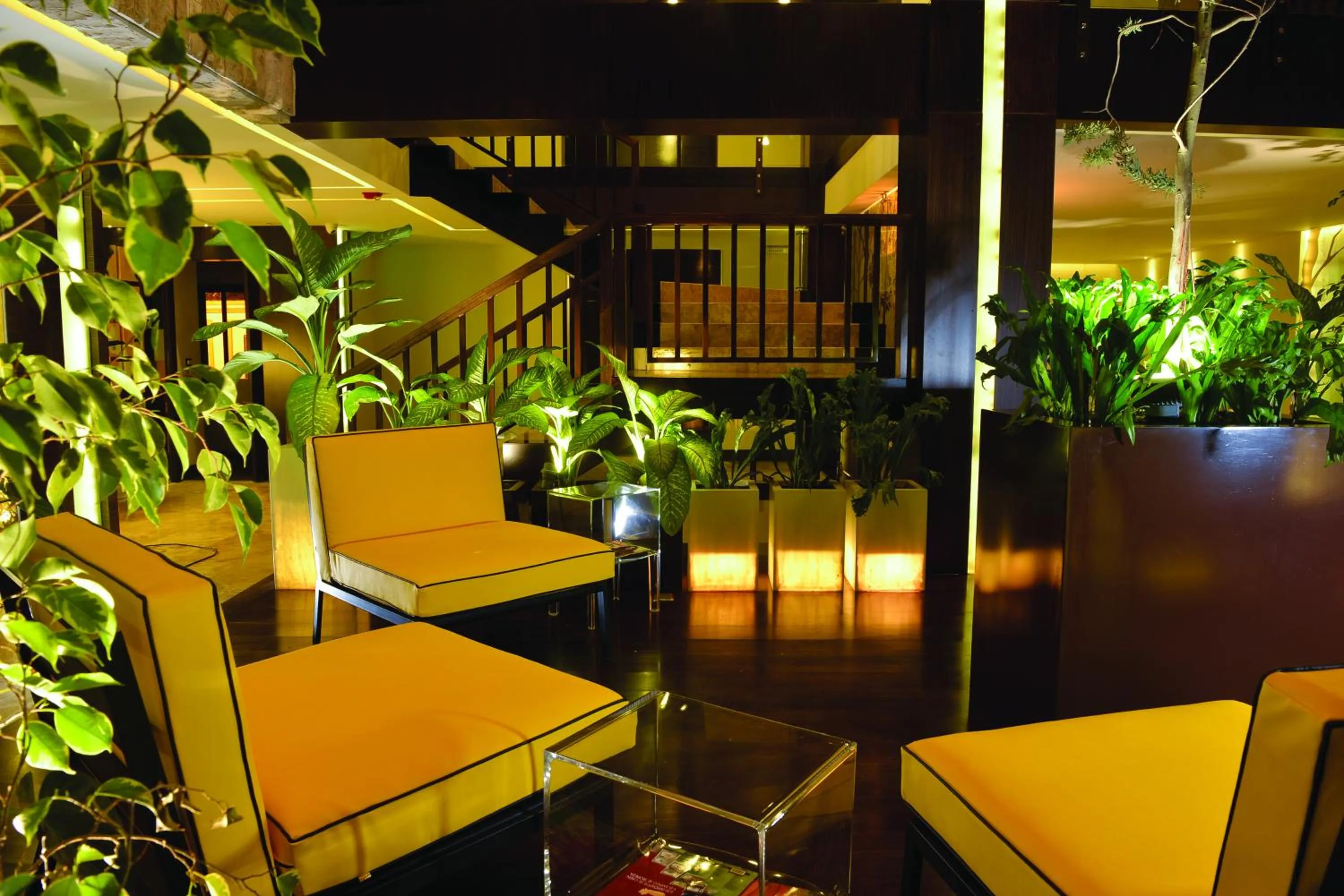 Garden in Oro Verde Loja