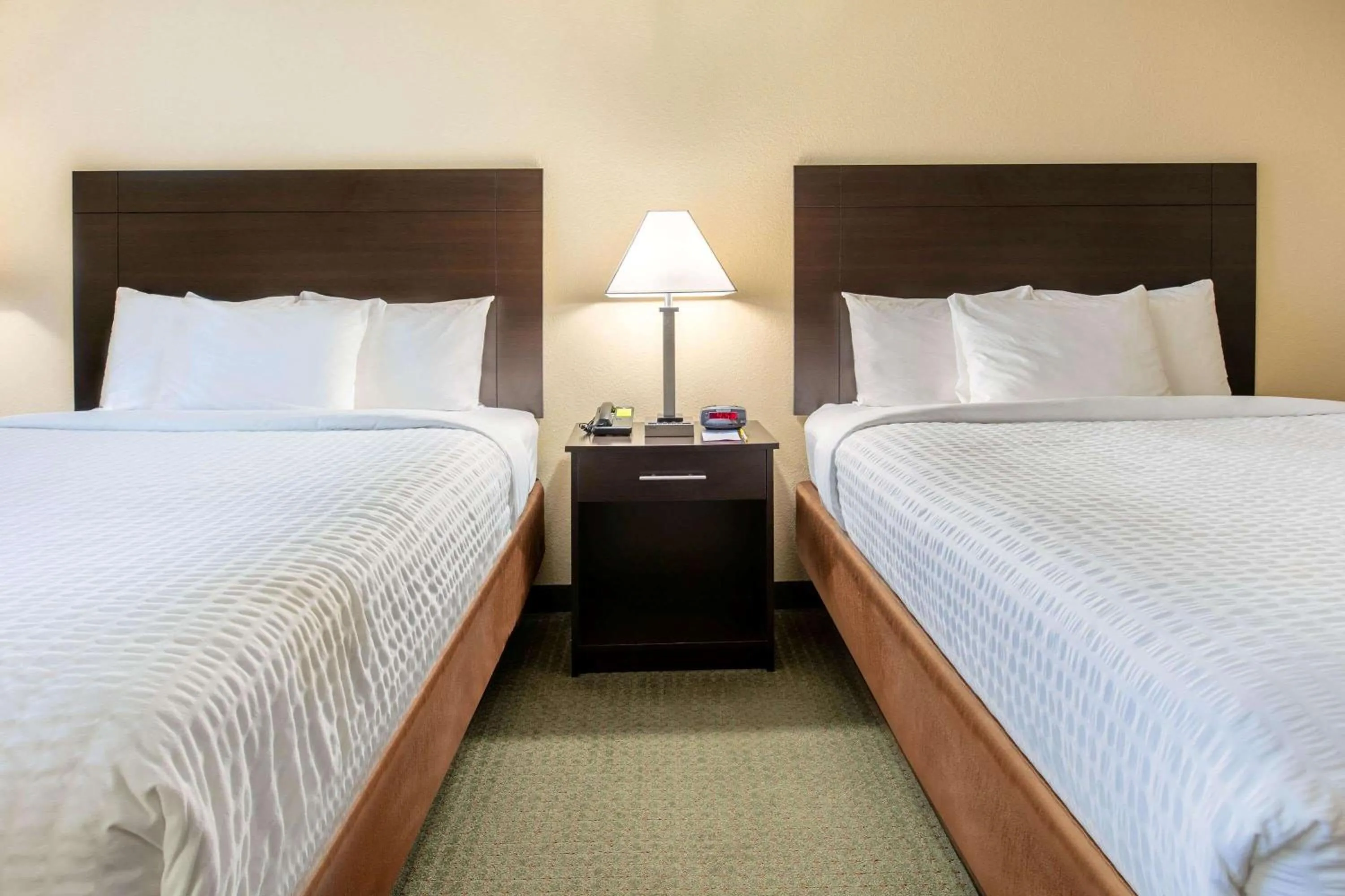 Photo of the whole room, Bed in Days Inn & Suites by Wyndham Florence/Jackson Area
