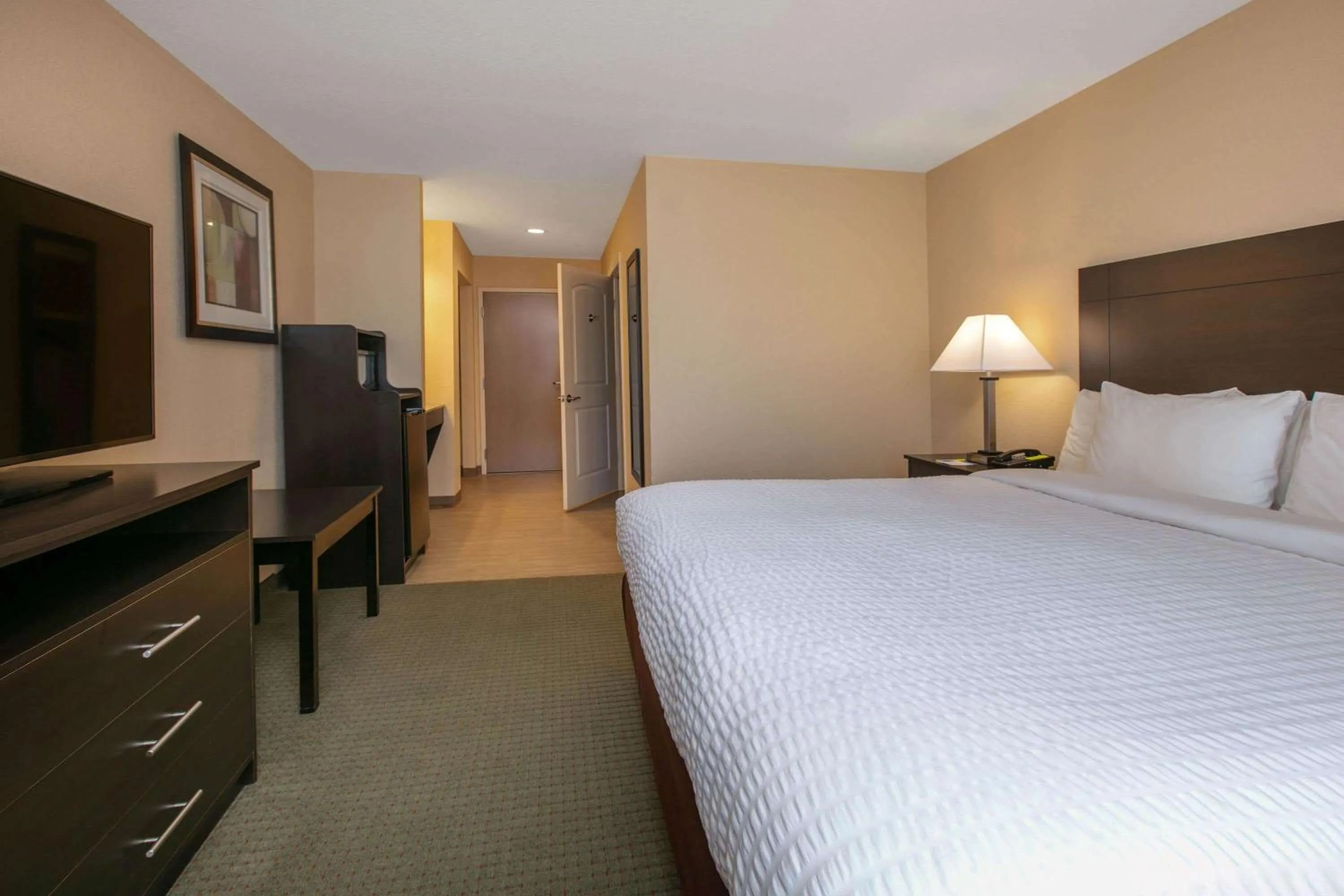 Photo of the whole room, Bed in Days Inn & Suites by Wyndham Florence/Jackson Area
