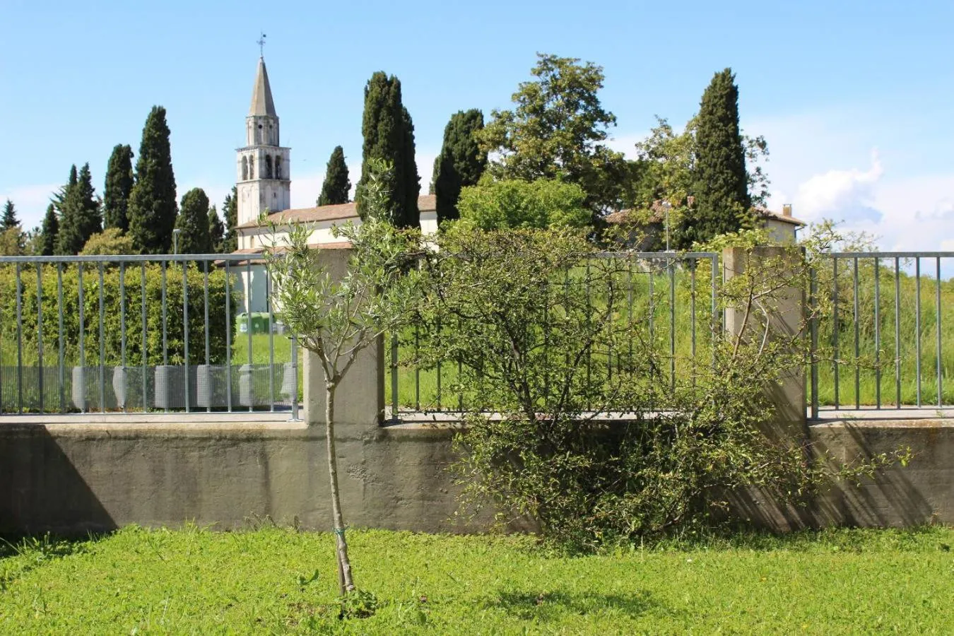Garden in Villa Madi