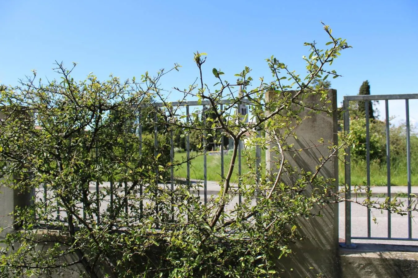 Garden in Villa Madi