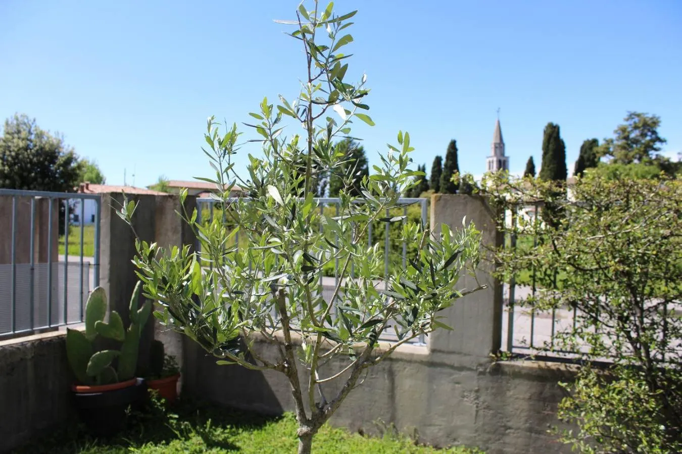 Garden in Villa Madi