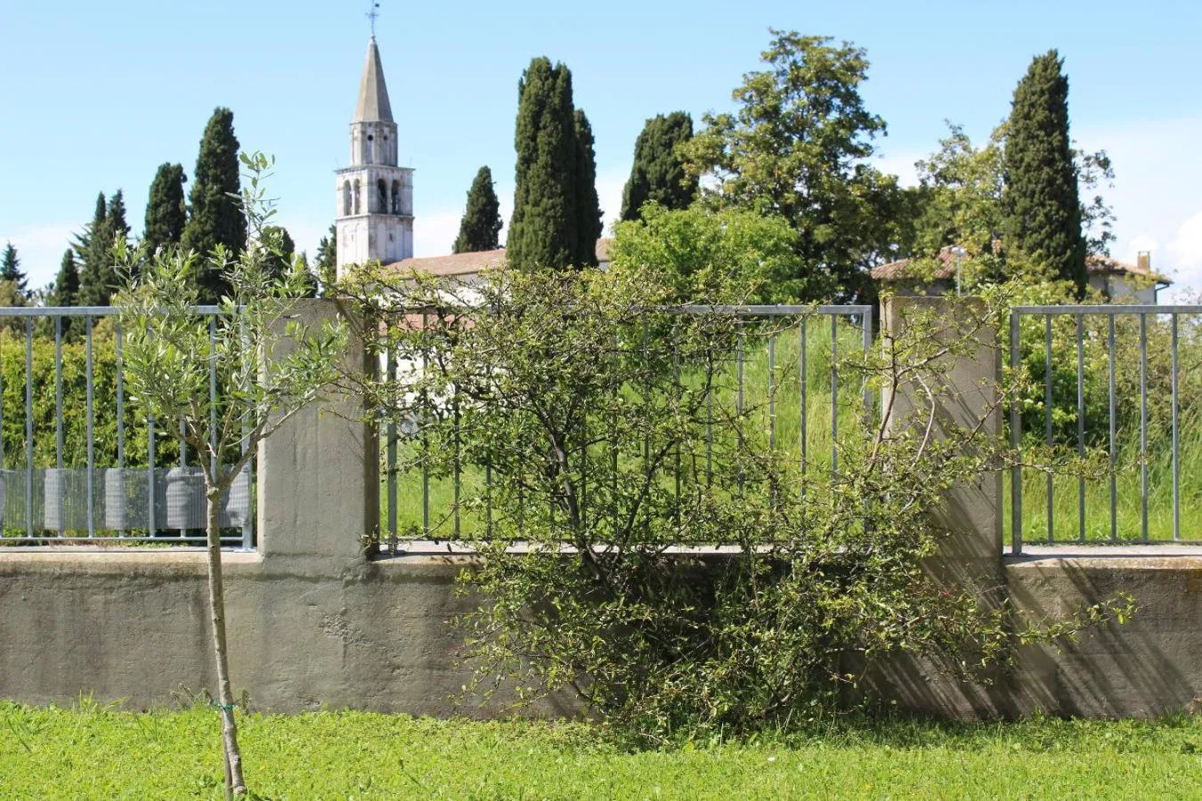 Garden in Villa Madi
