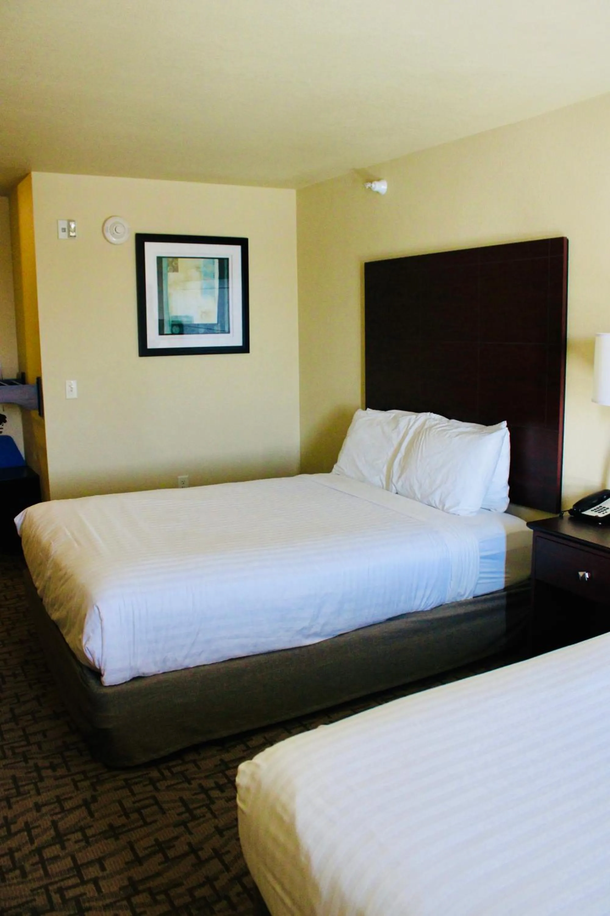 Bed in Cobblestone Hotel & Suites - Devils Lake