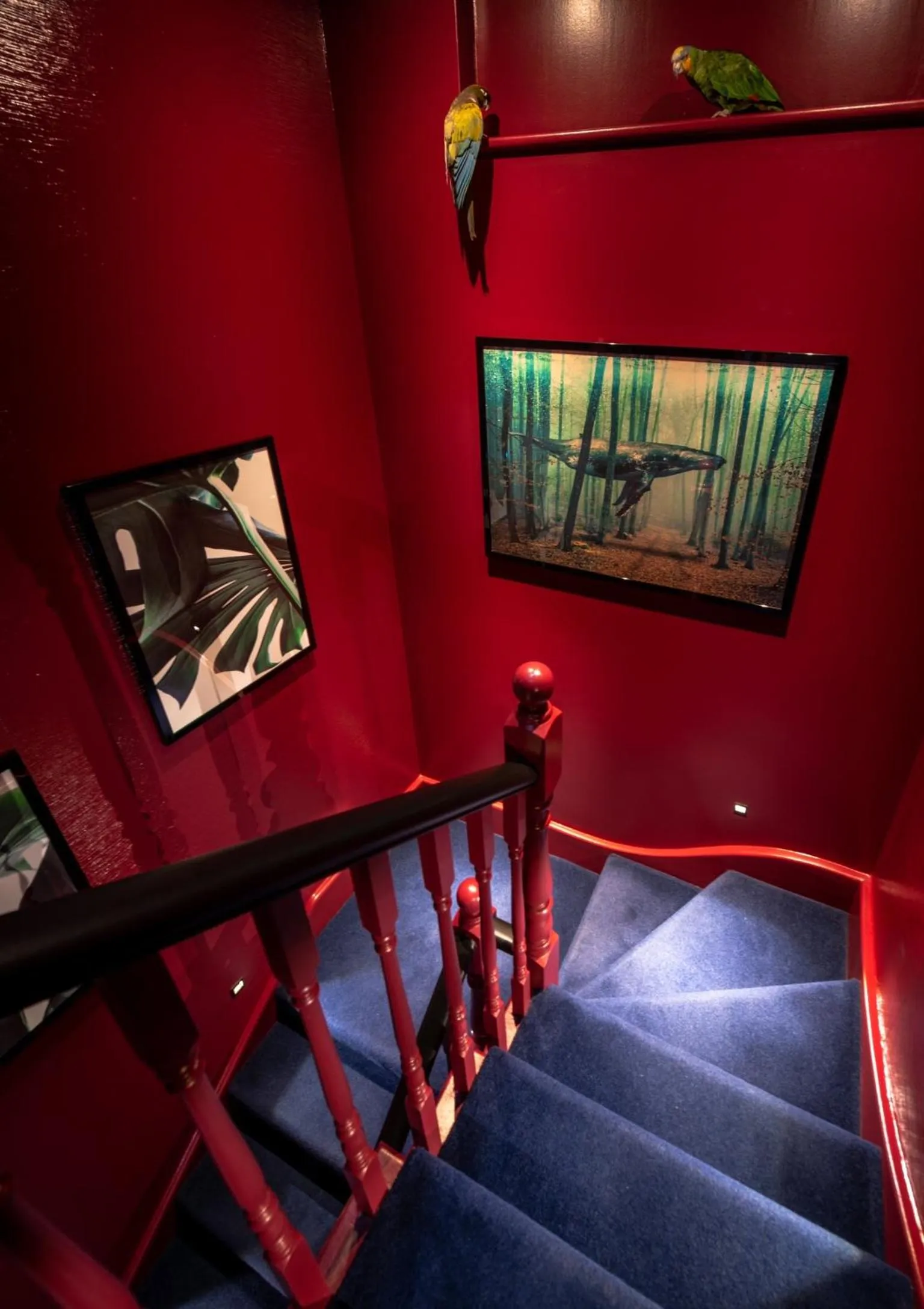 Decorative detail in Hux Hotel, Kensington