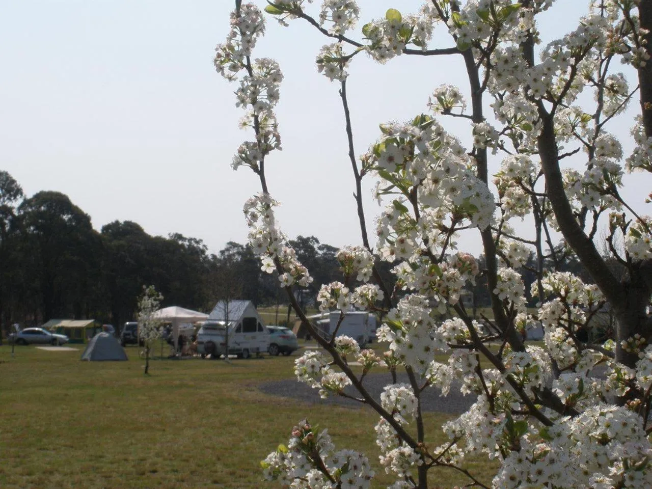 Tiny Away Escape at Granite Belt - Sommerville Valley