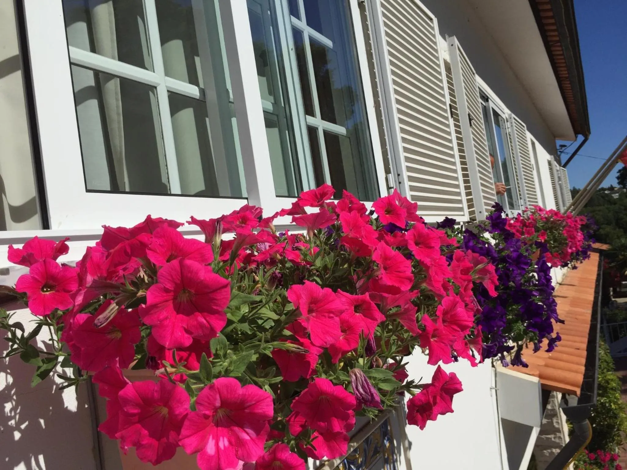 Property building in Residencial Celeste