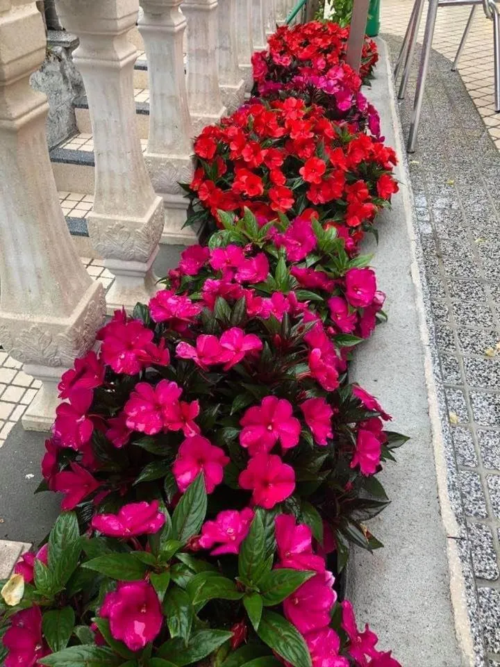 Spring in Residencial Celeste