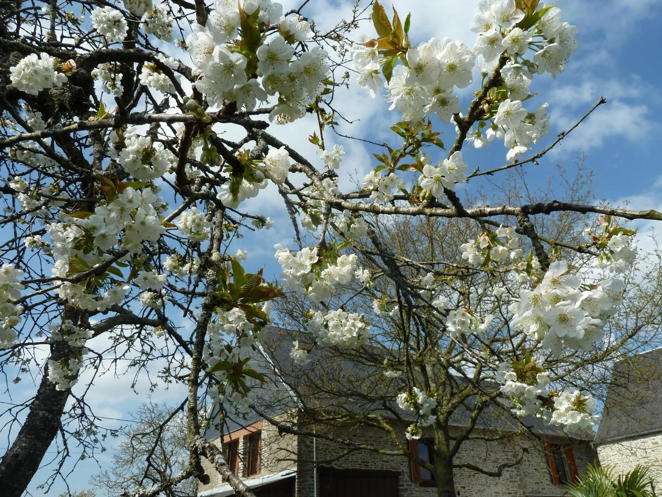 Garden in Les Bruyères du Mont