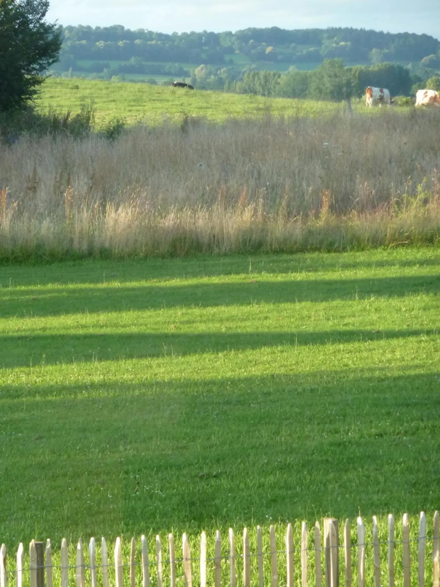 Property building in Les Bruyères du Mont