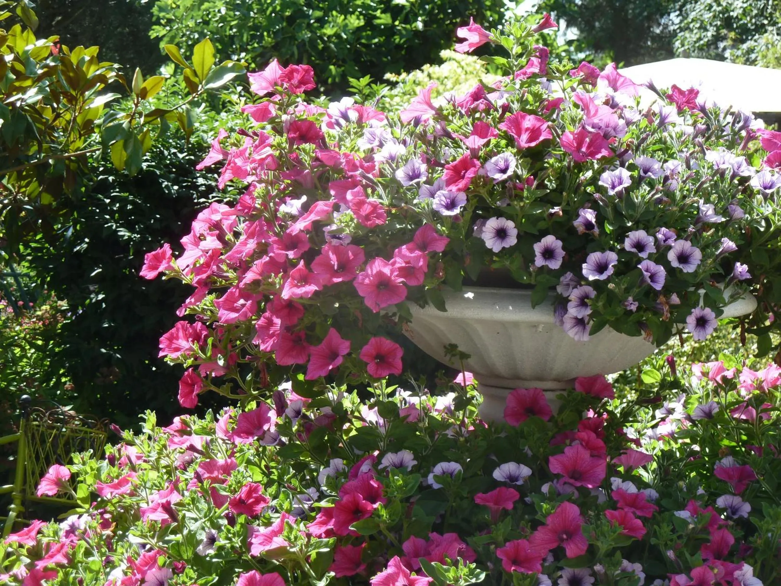 Property building in Les Bruyères du Mont
