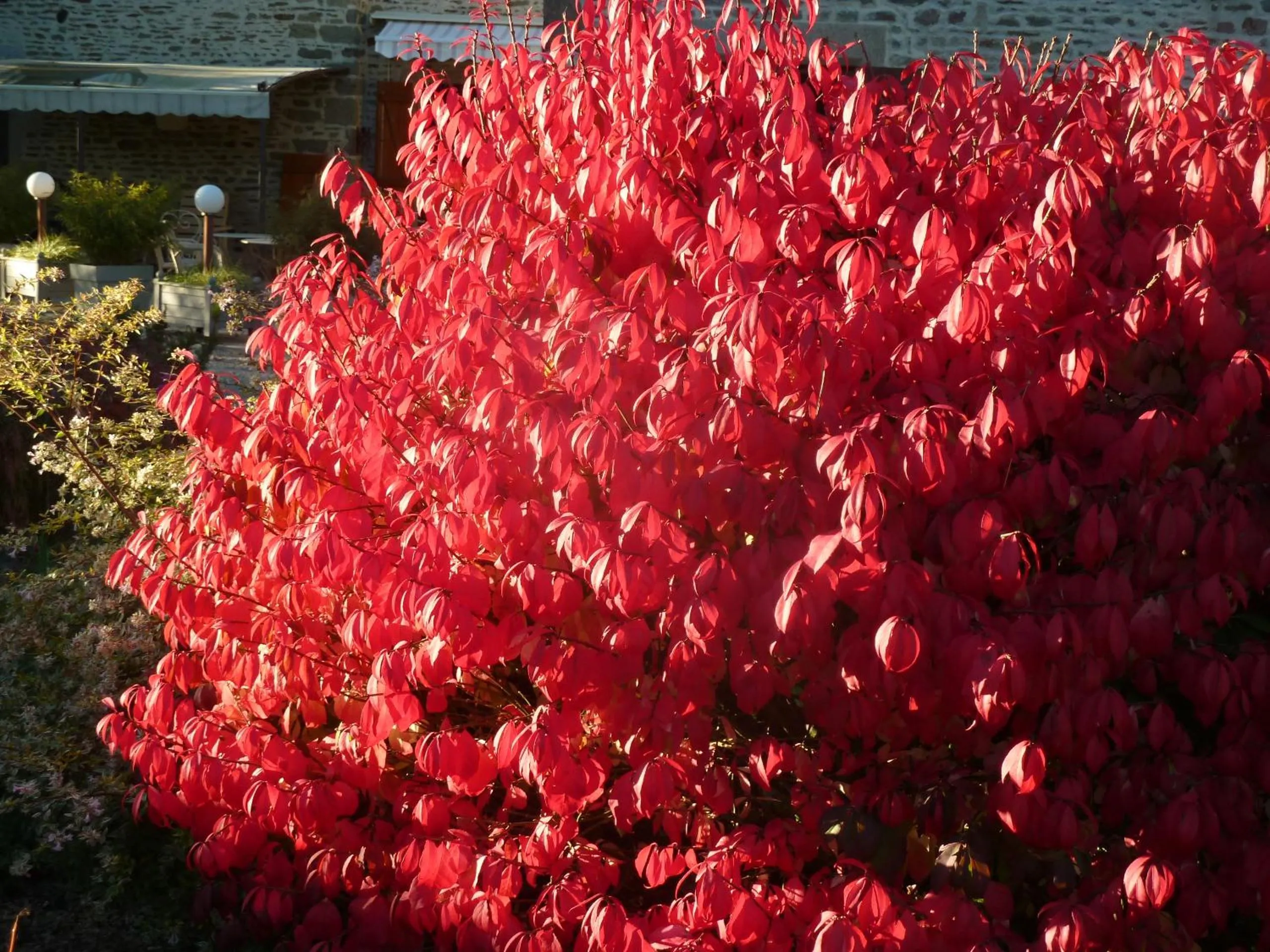 Day in Les Bruyères du Mont