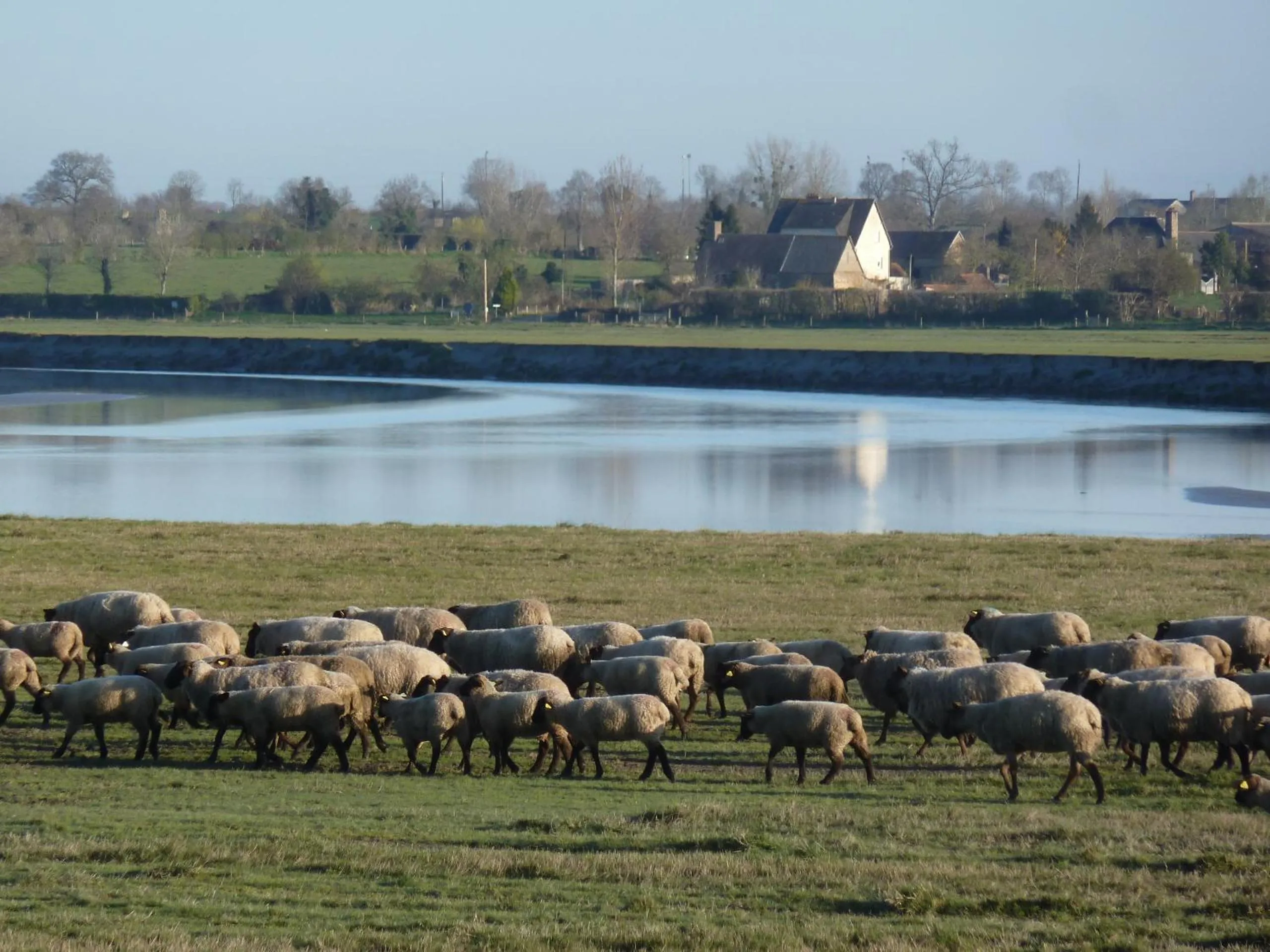 Day in Les Bruyères du Mont
