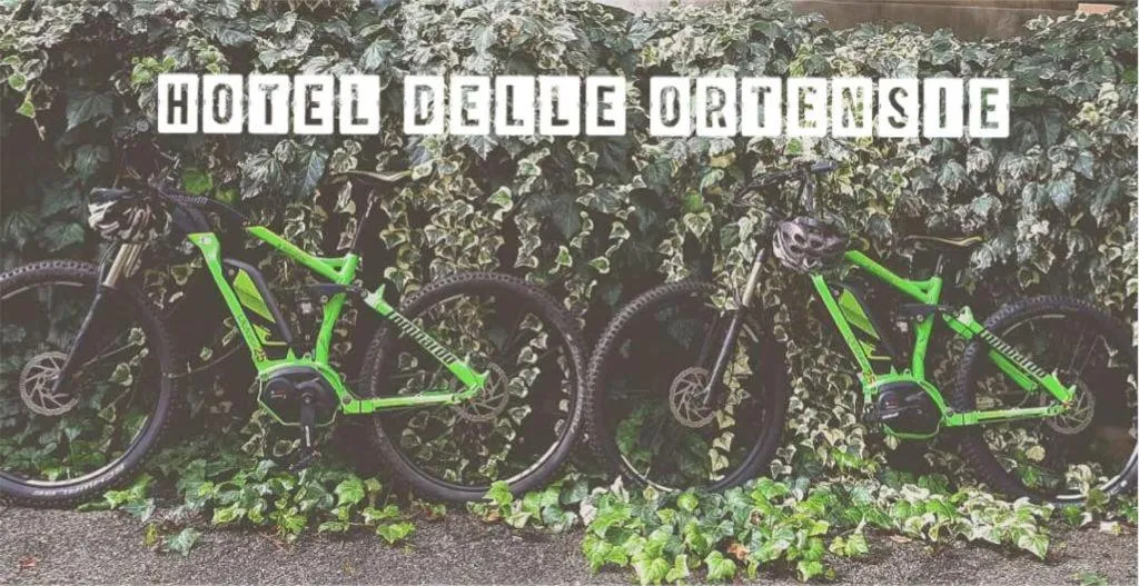 Cycling in Hotel Delle Ortensie