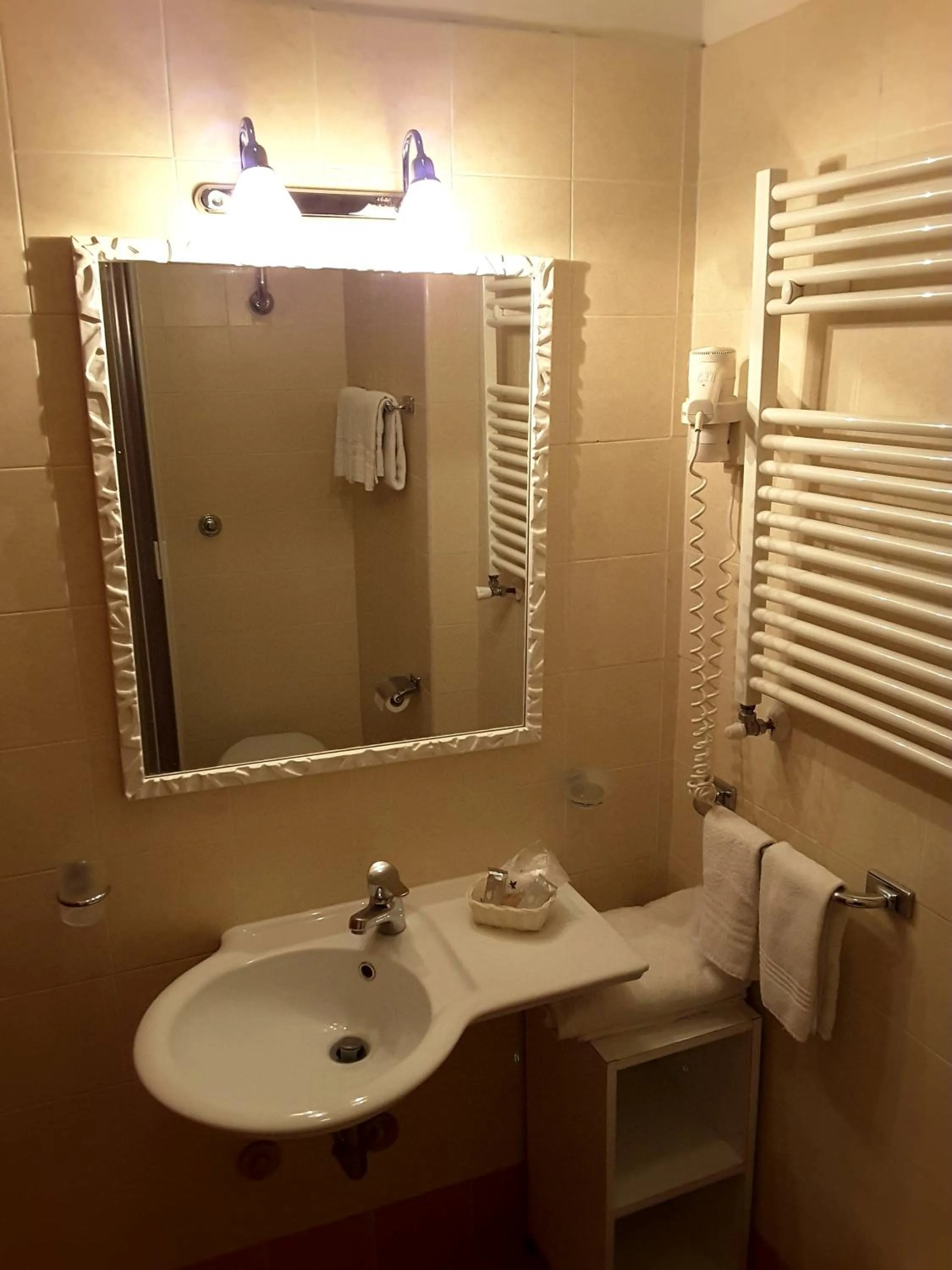 Bathroom in Hotel Delle Ortensie