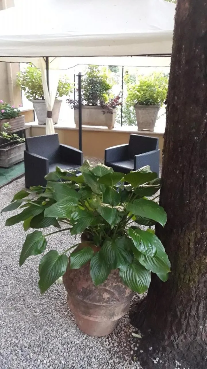 Garden in Hotel Delle Ortensie